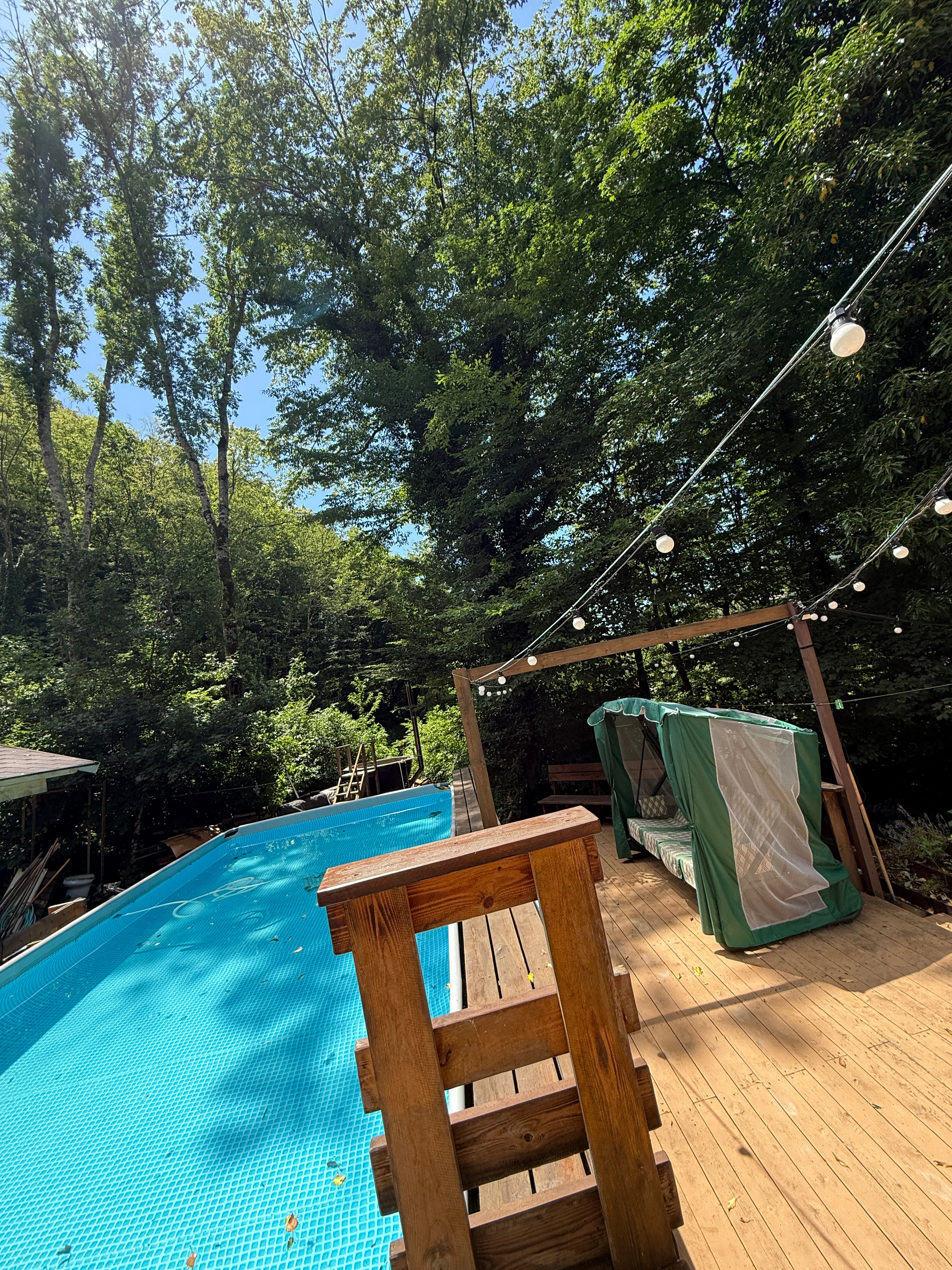 Фото Лесные домики