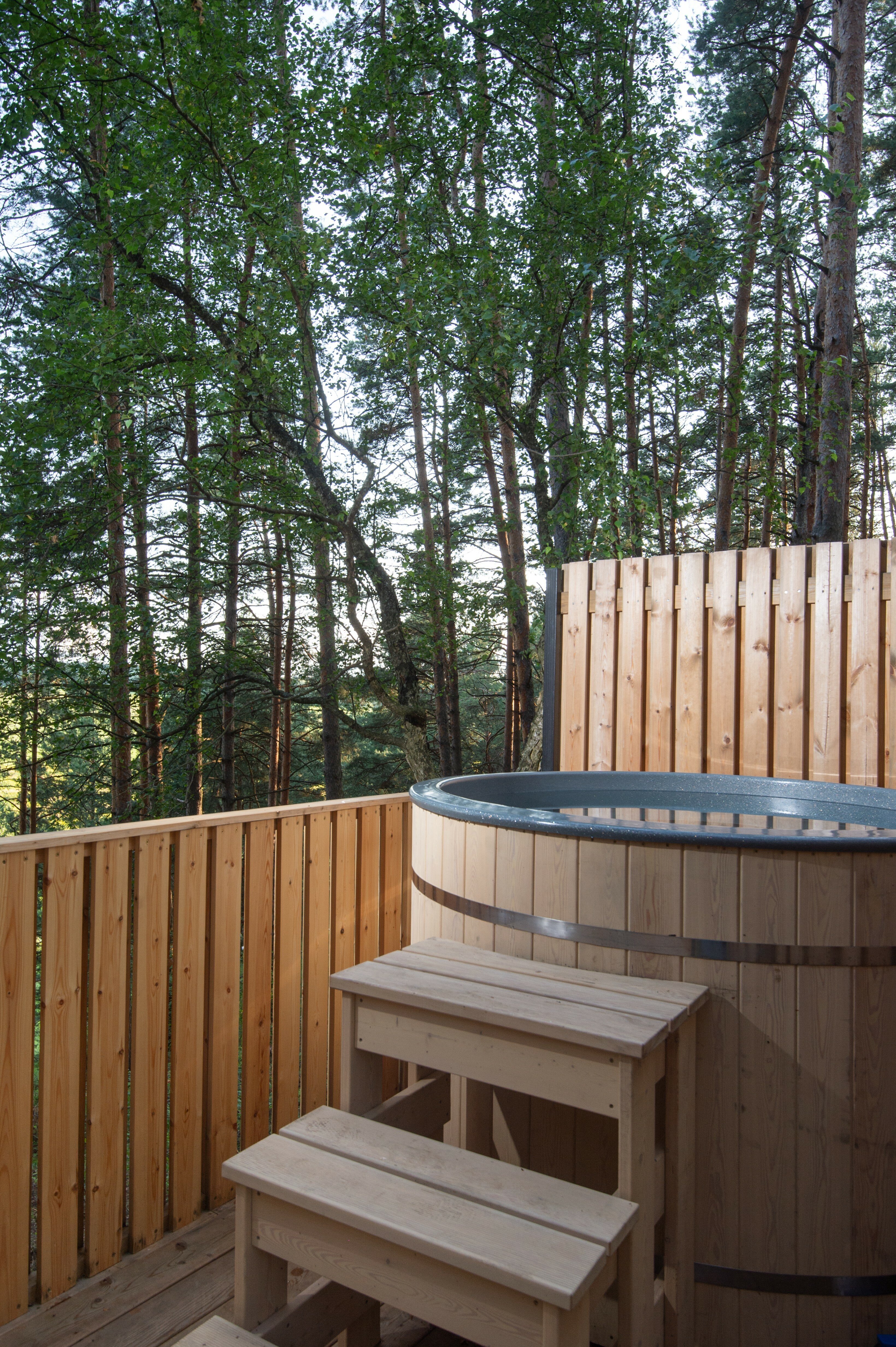 Фото Wish Home Лесной Берег