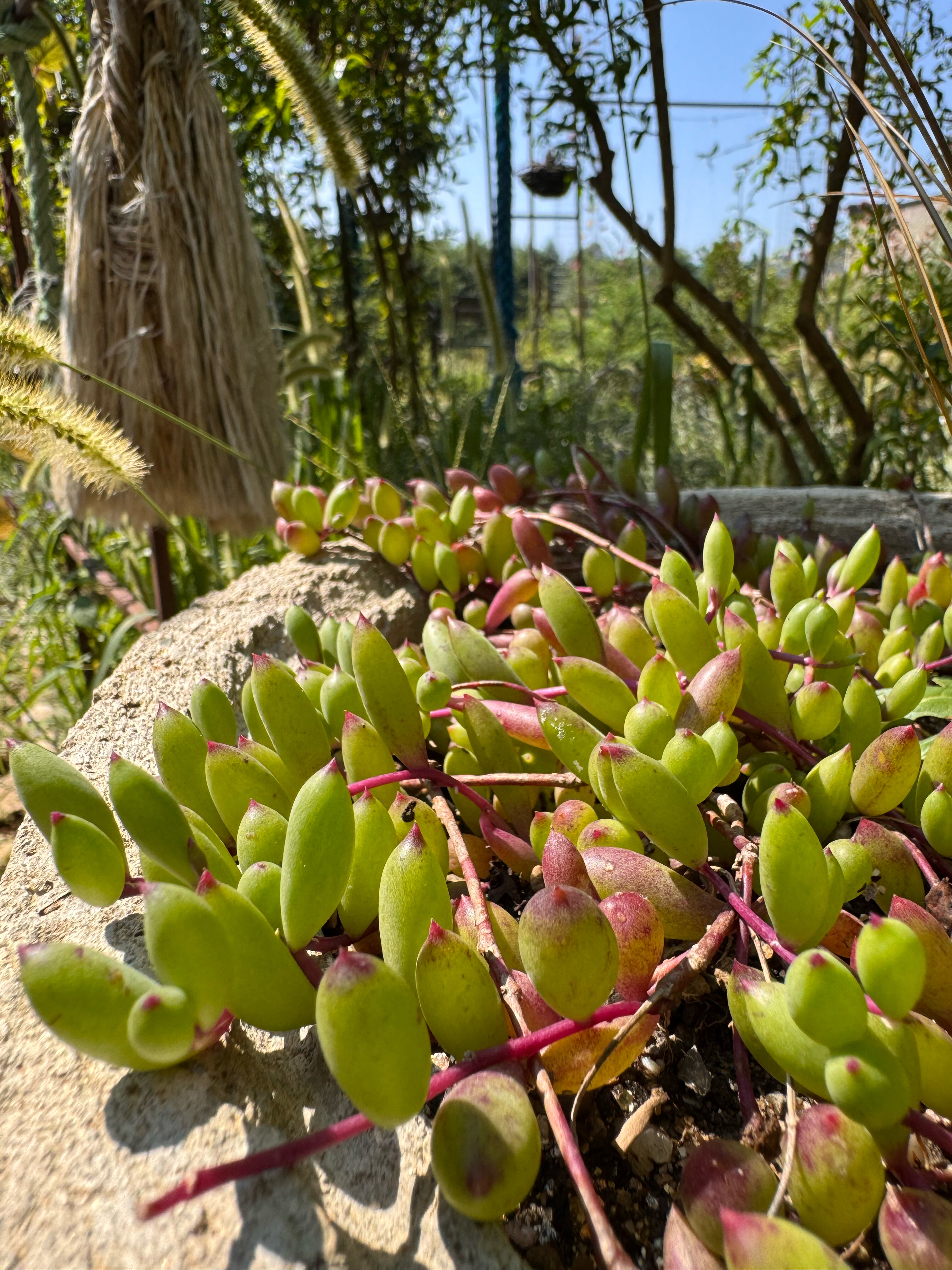 Фото Малютина Дача