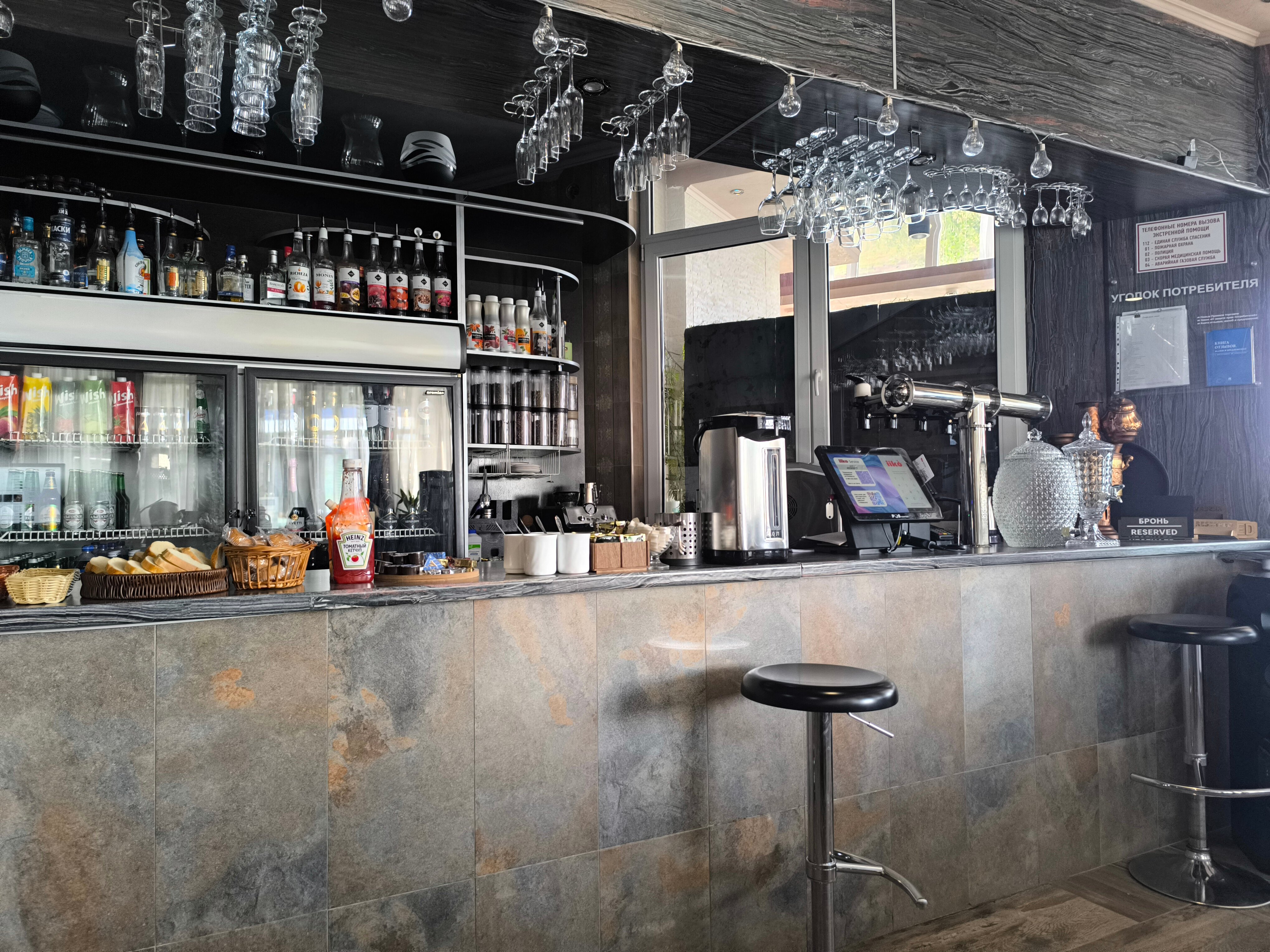 Фото Дельфин