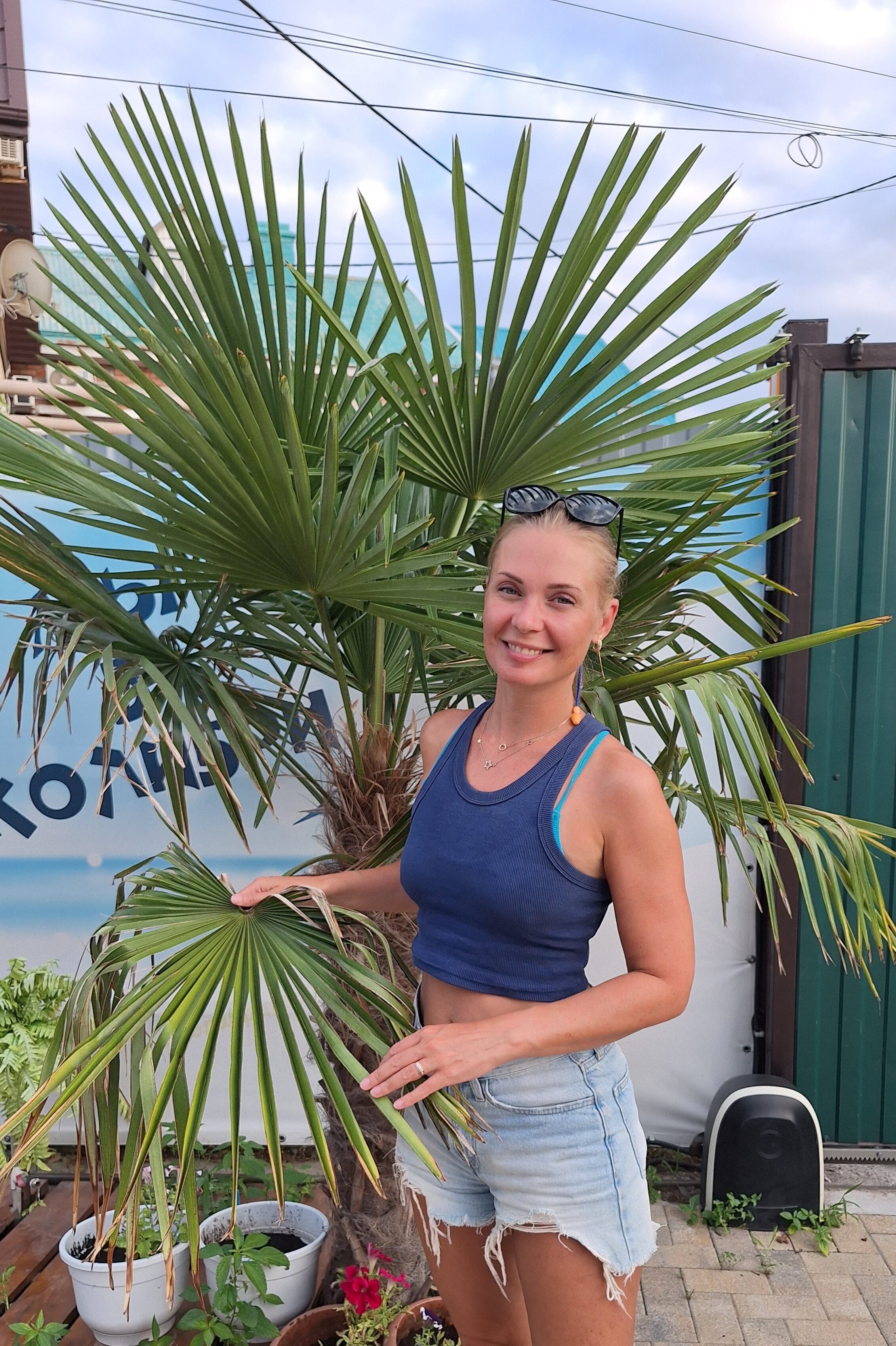 Фото Колибри