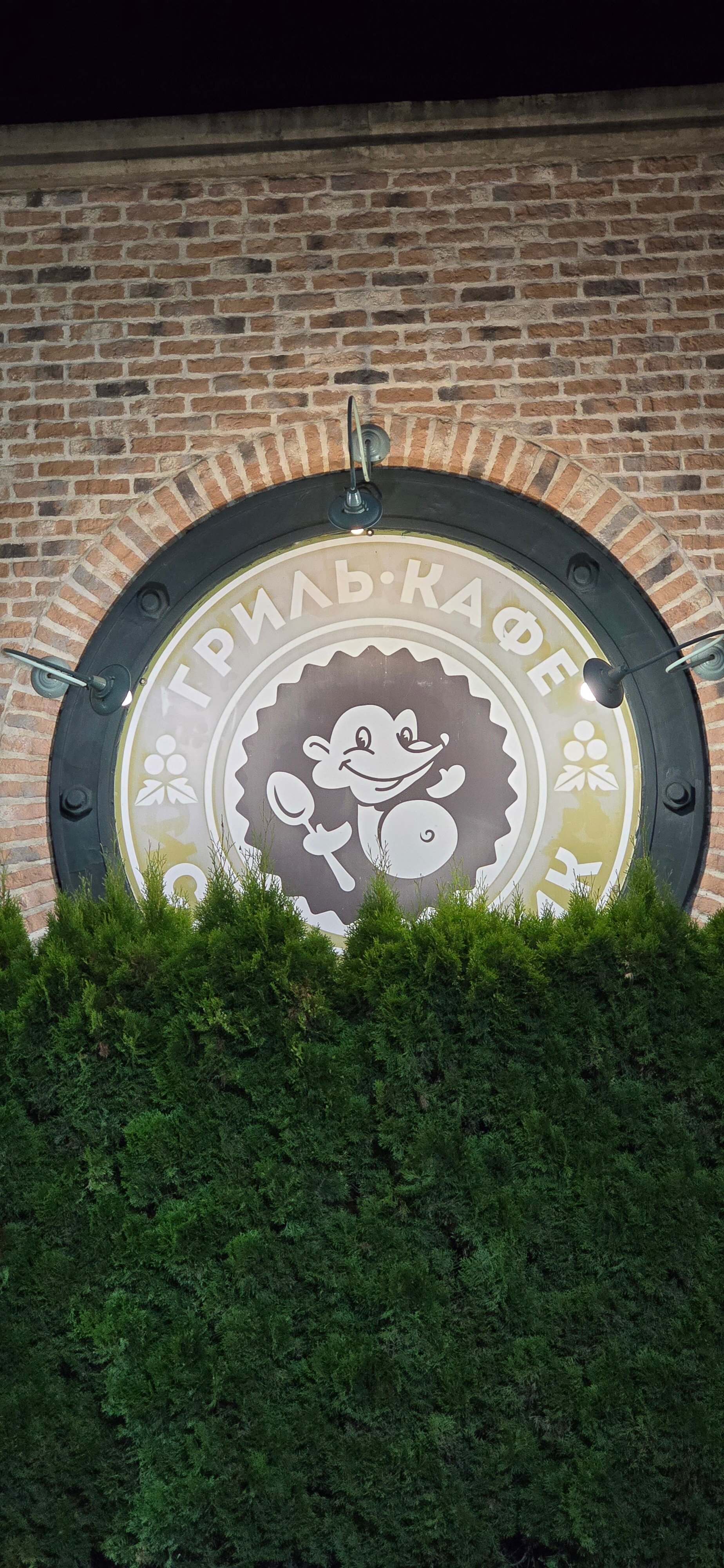 Фото Сытый Ежик