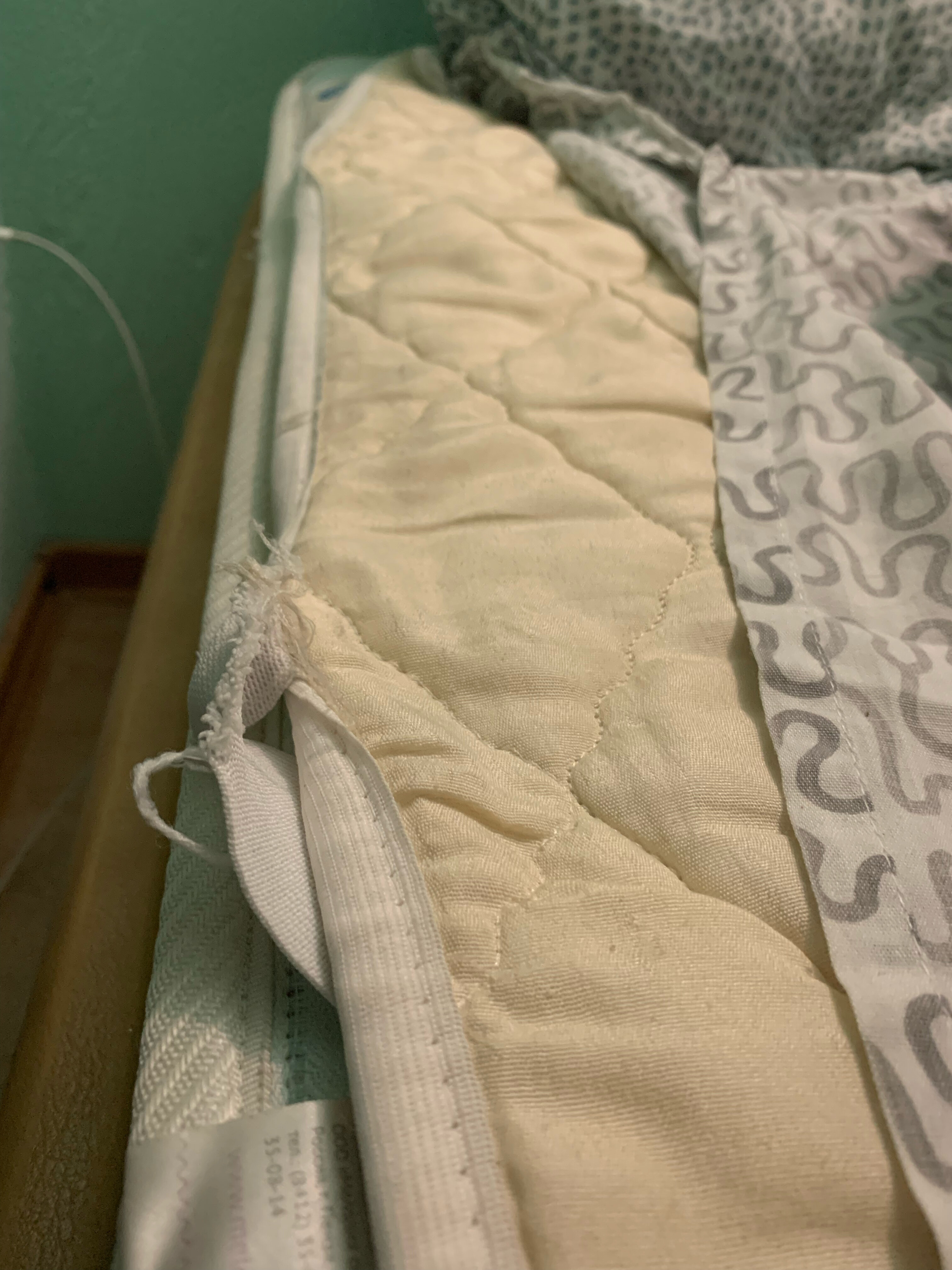 Фото Добрый Финн