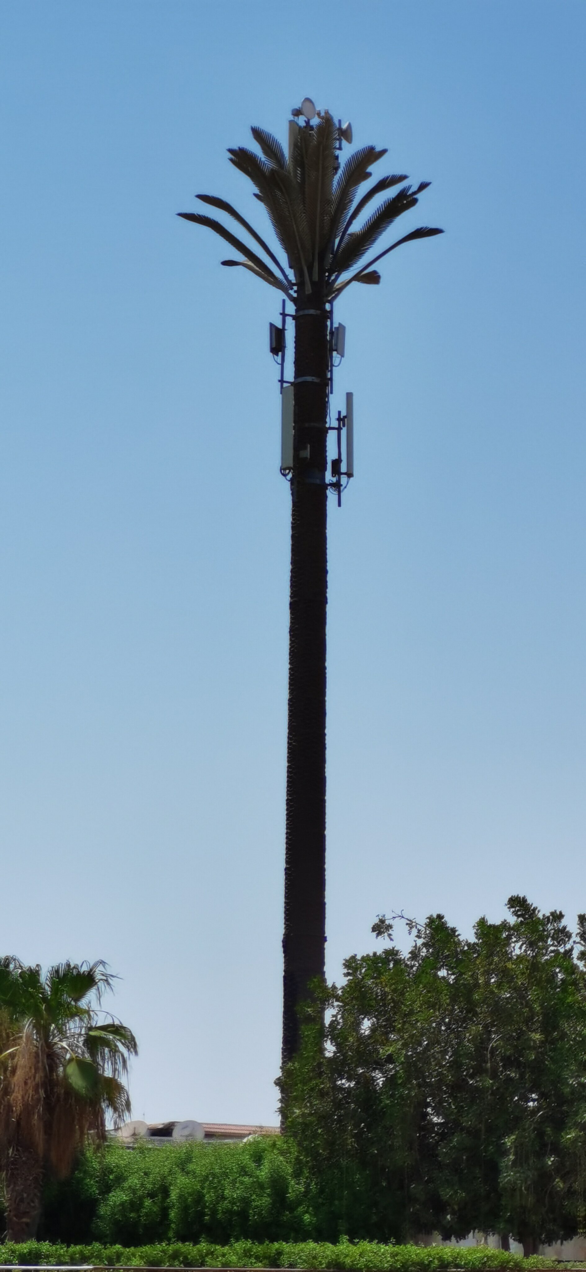 Фото Desert View Sharm Hotel