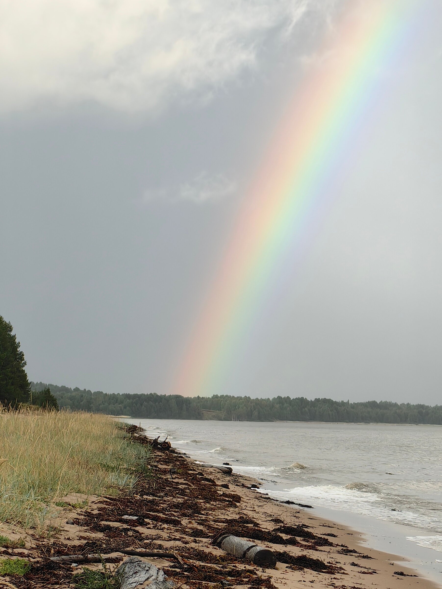 Фото Белый кит