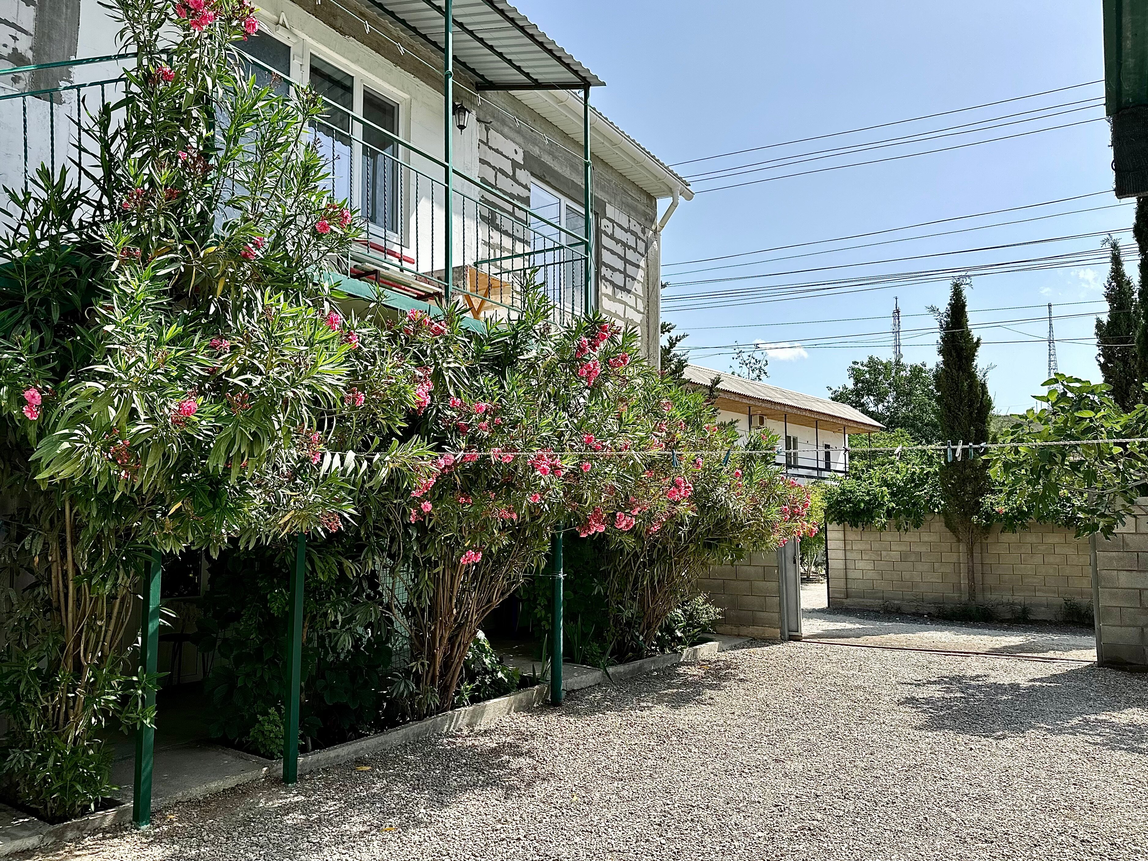 Фото У Ибрагима