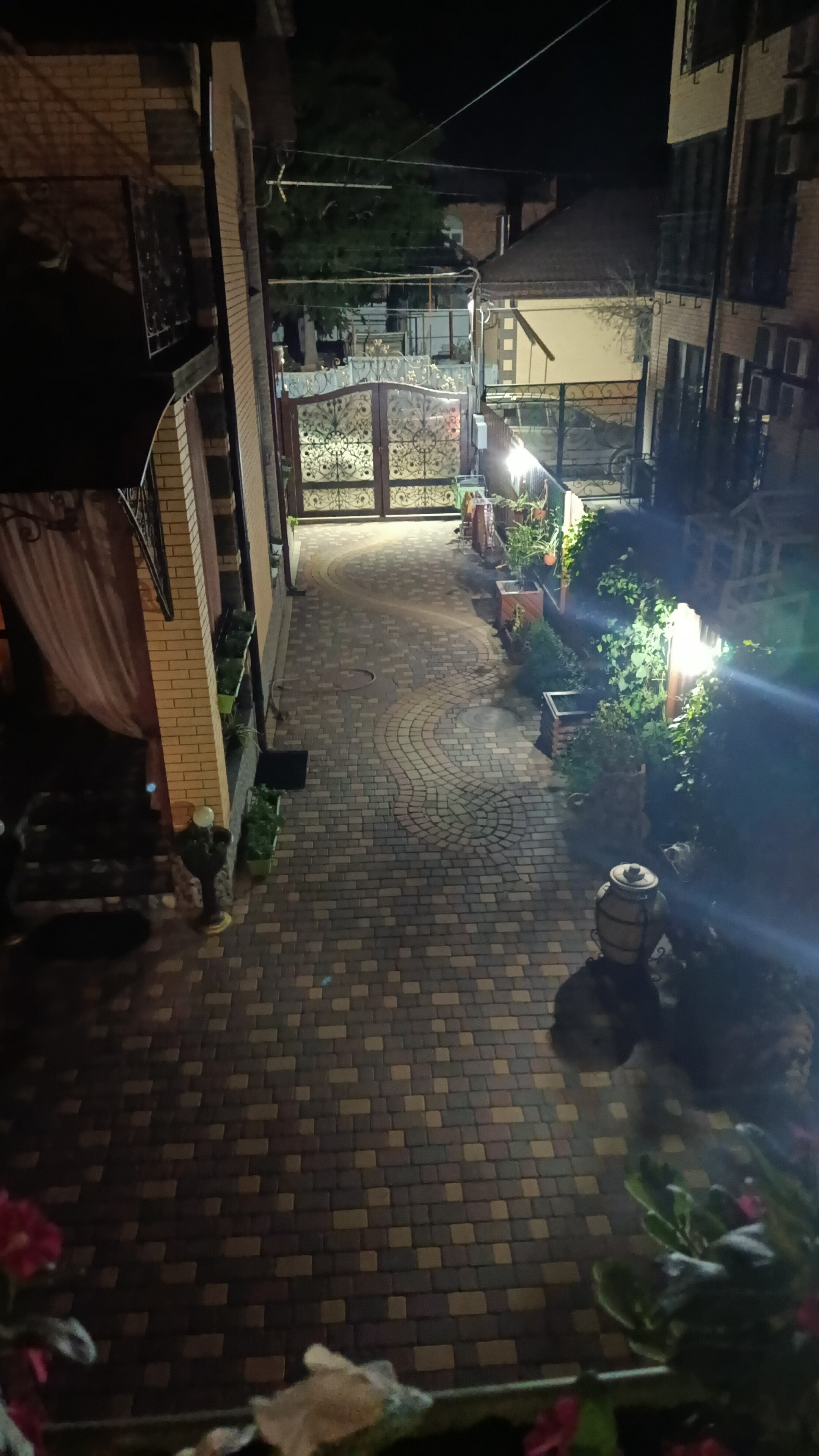 Фото Колибри