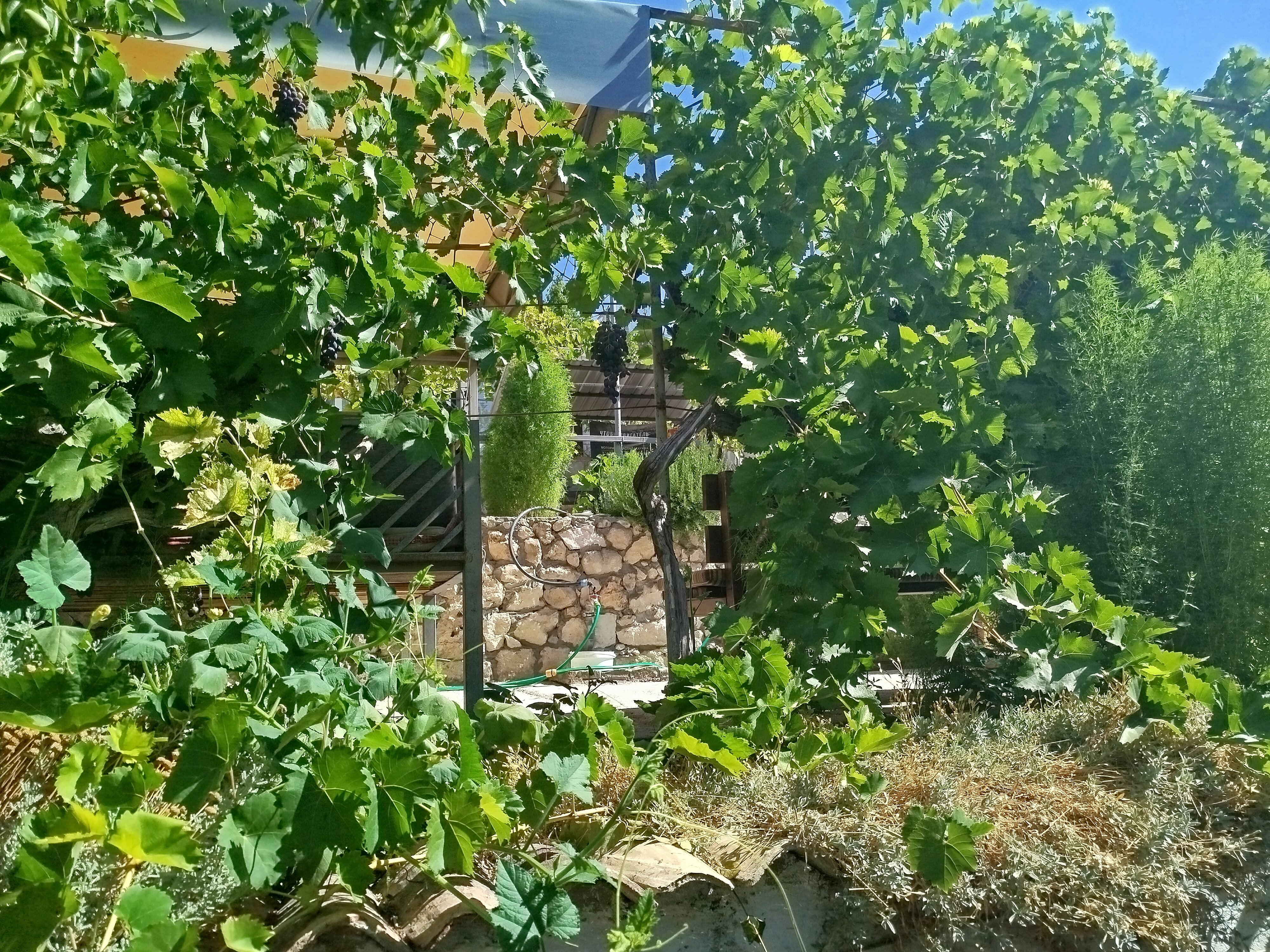 Фото Бекхан