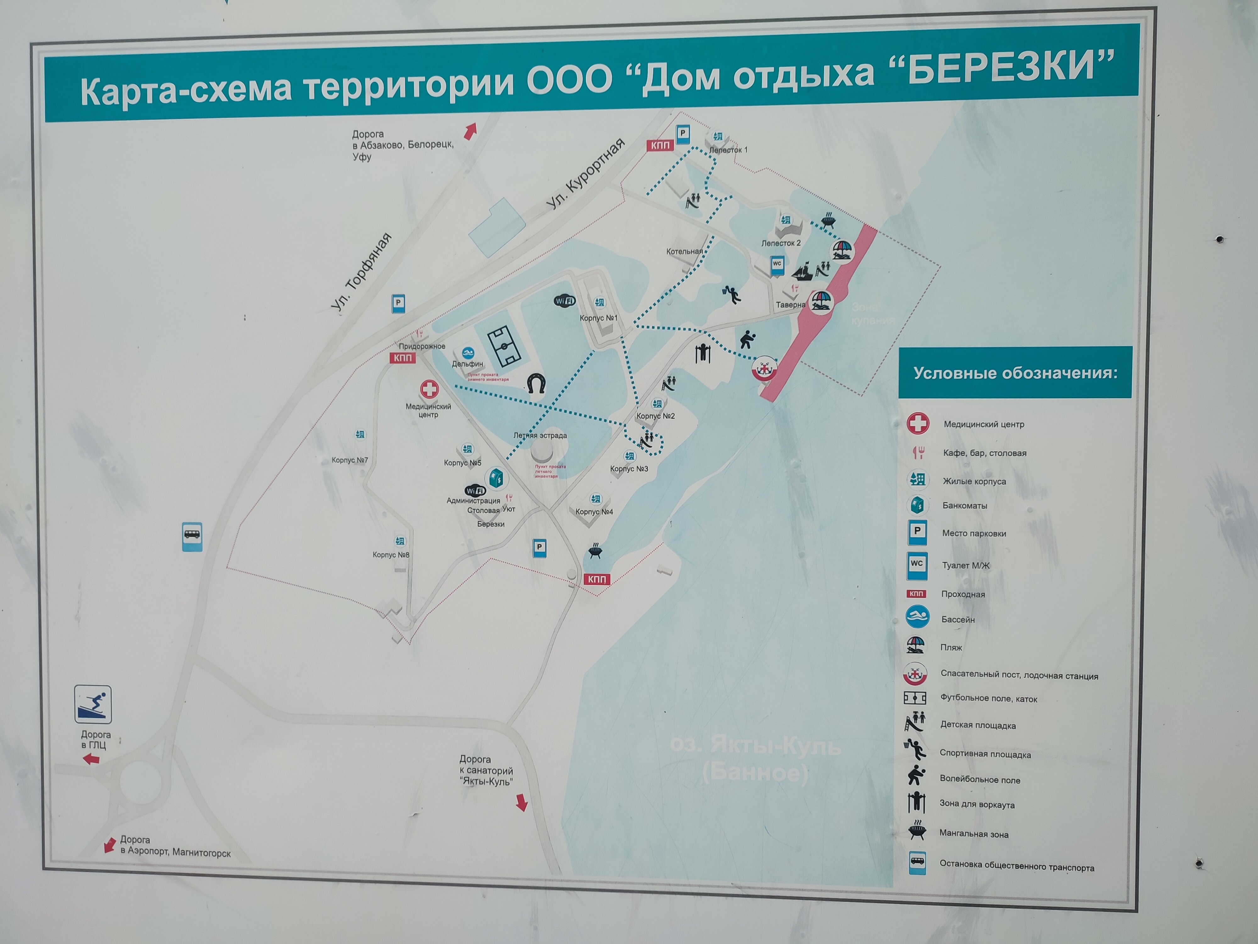 Фото Берёзки