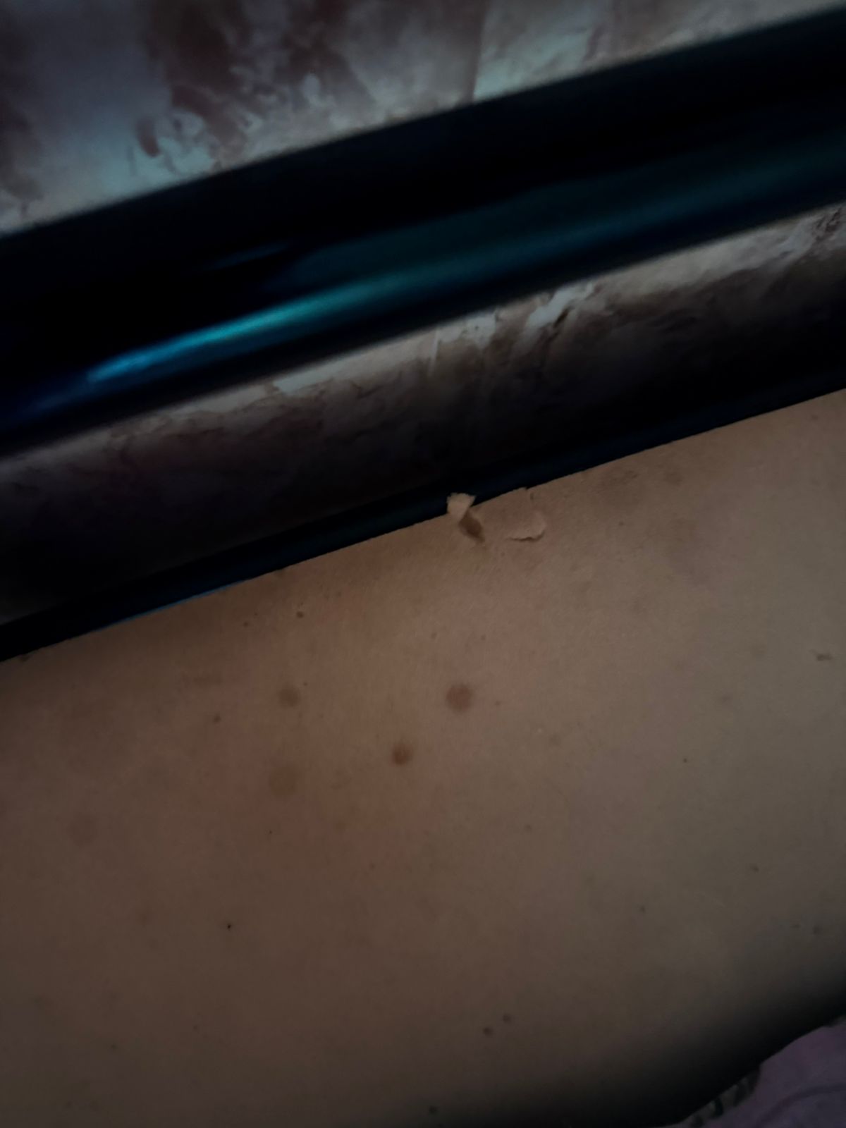 Фото Фрегат