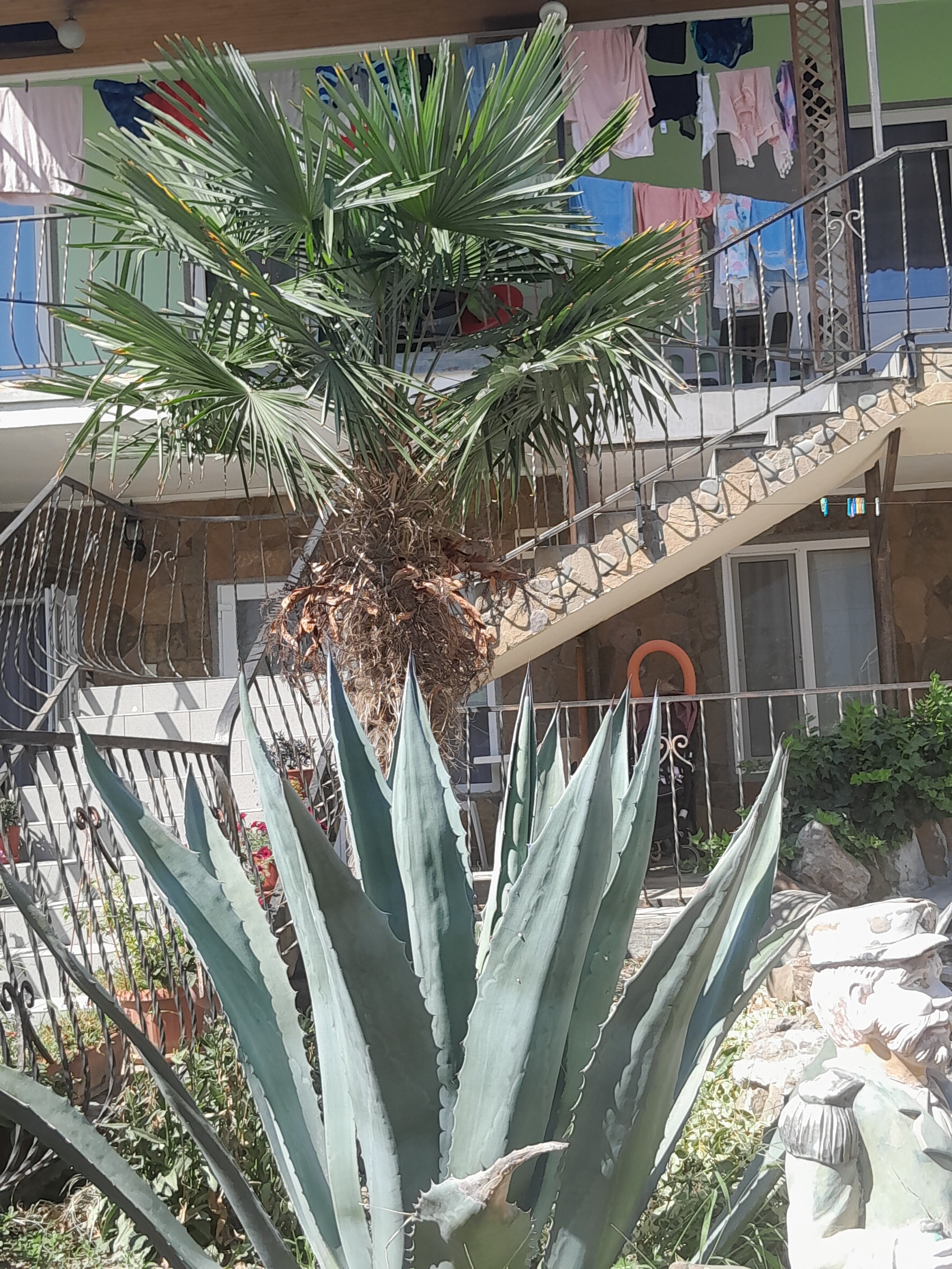 Фото Эльмаз