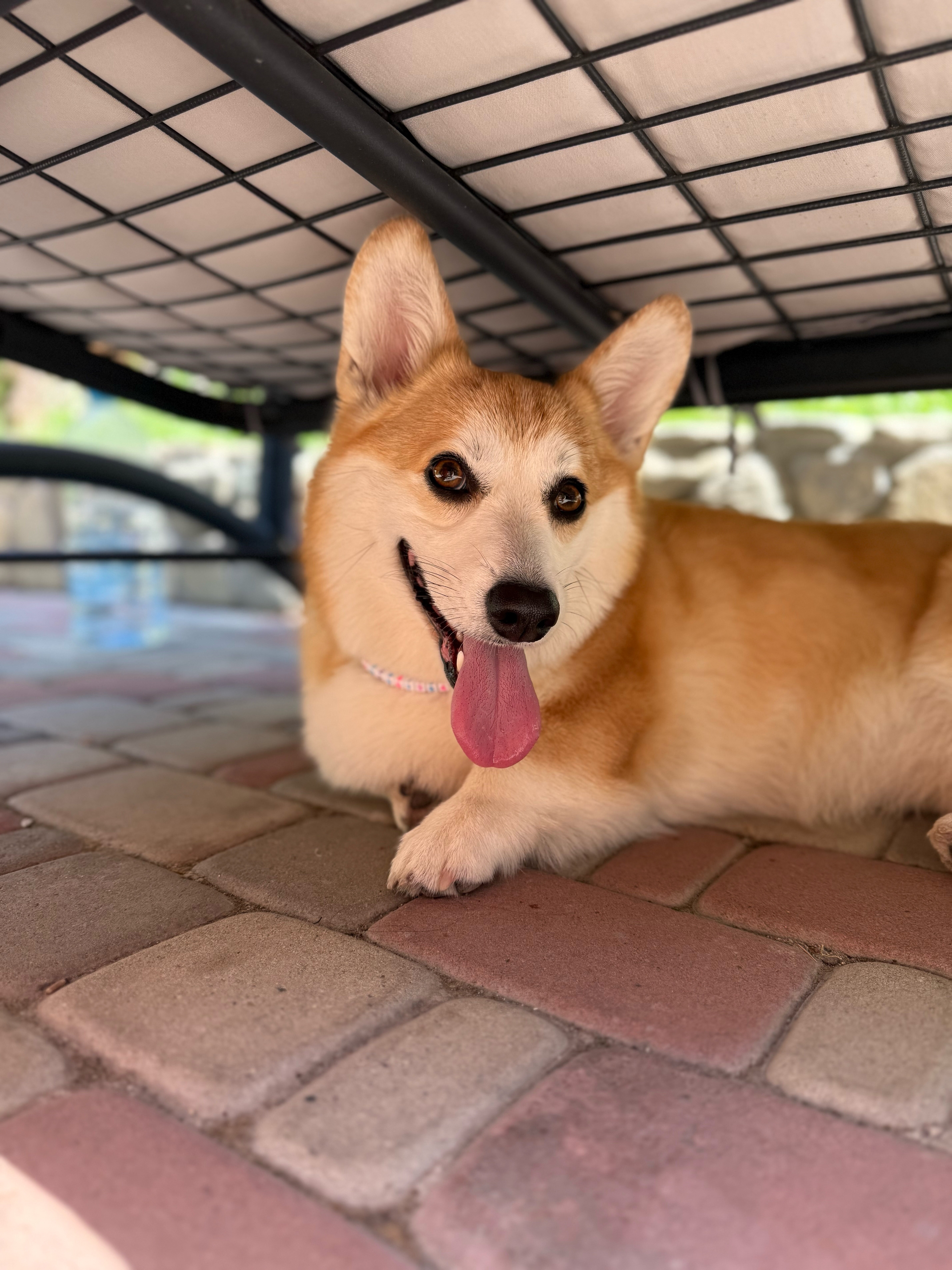 Фото Рай в шалаше