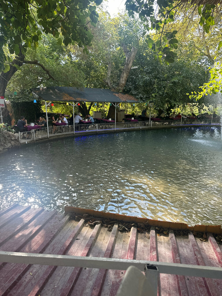 Waterfall Harbiye Waterfall, Antakya, photo