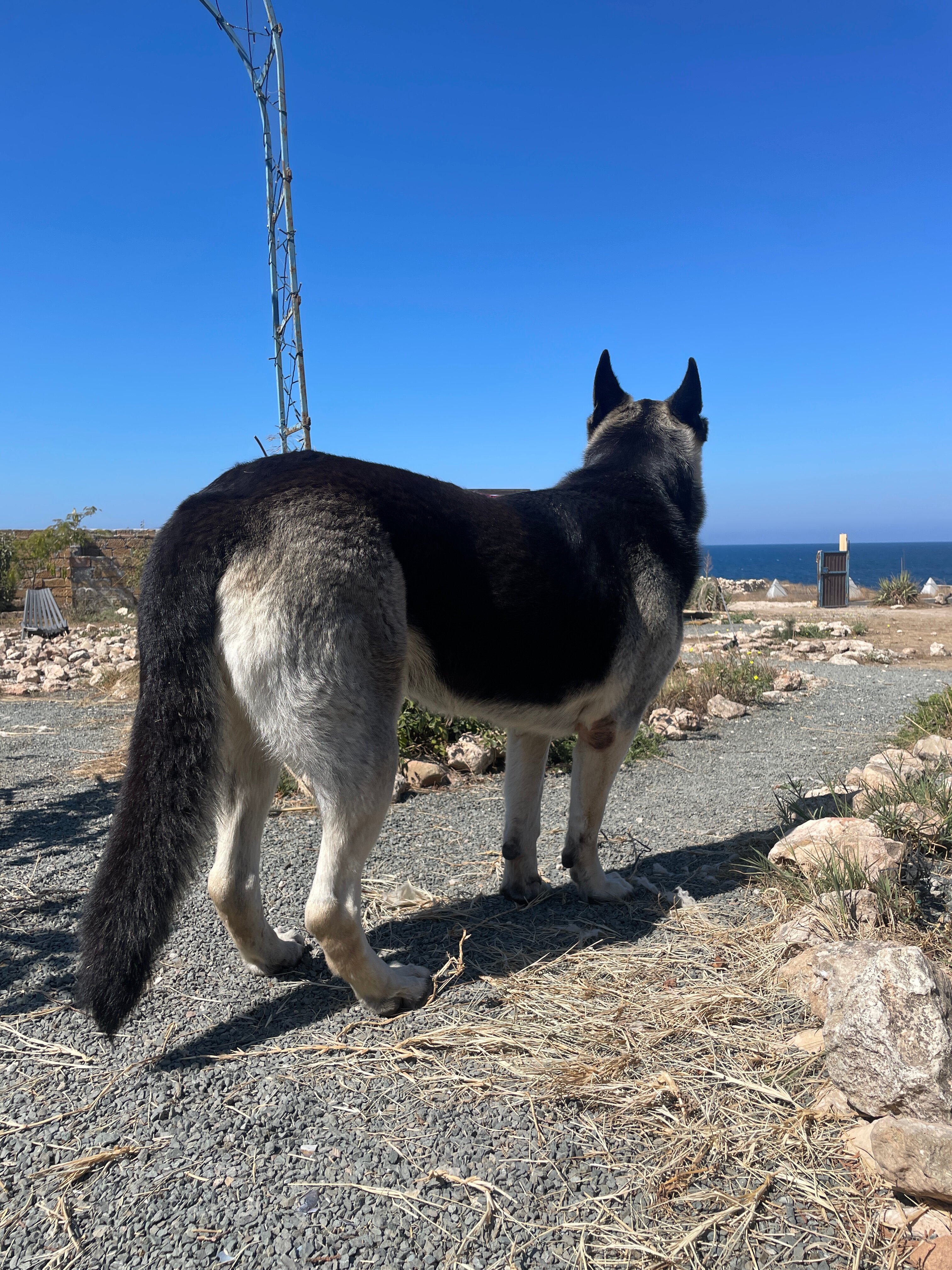 Фото Casa del Mar