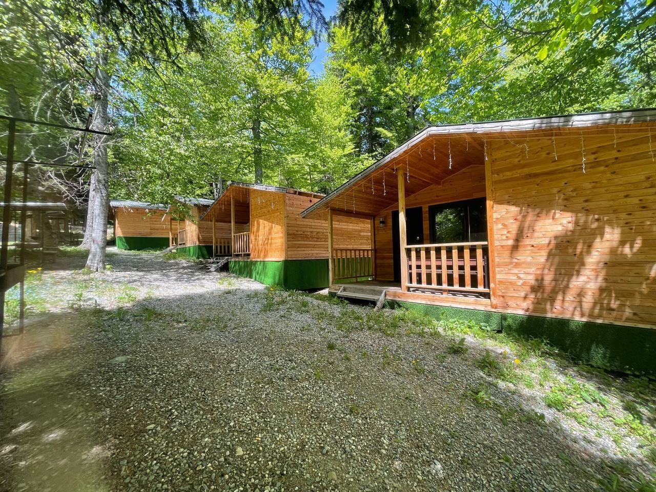 Фото Горная Мята