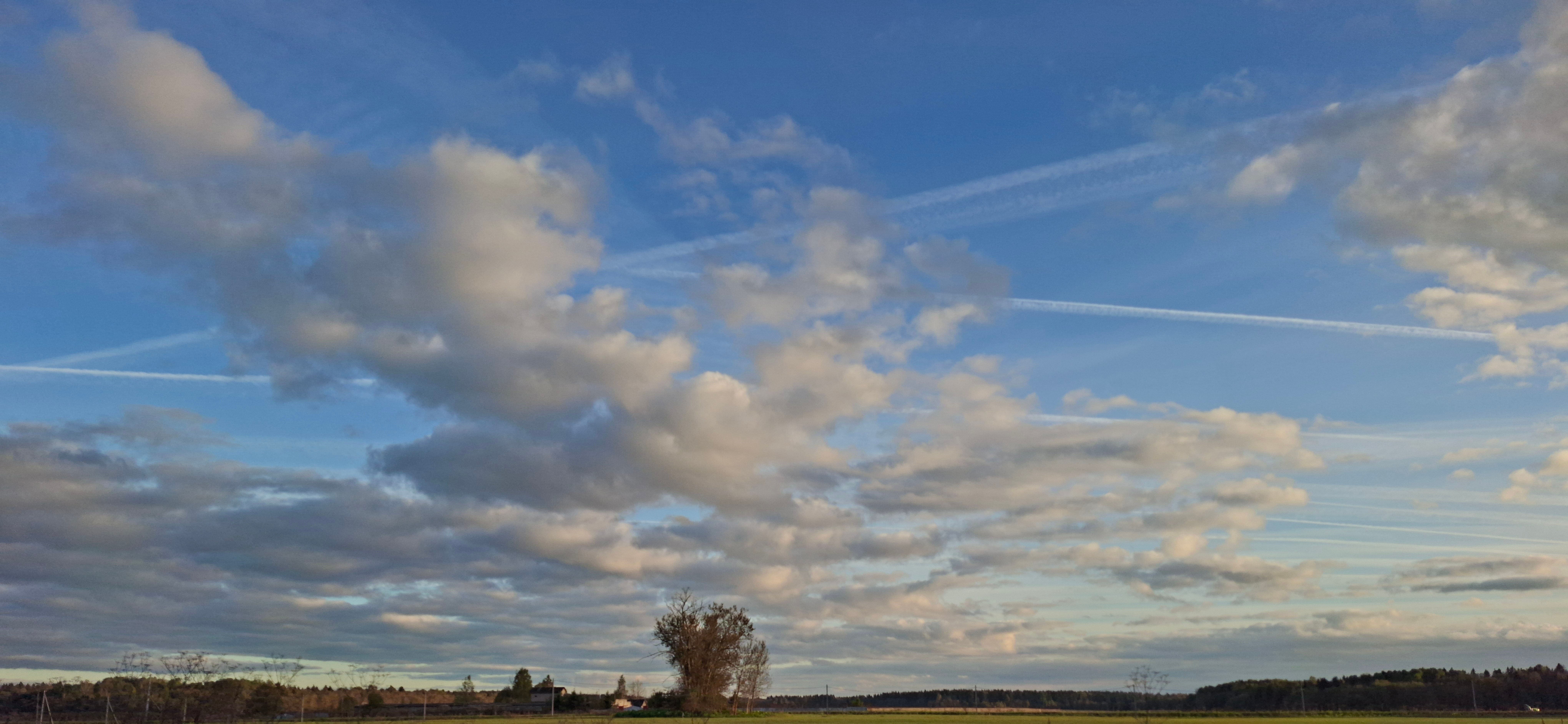 Фото 36 Градусов