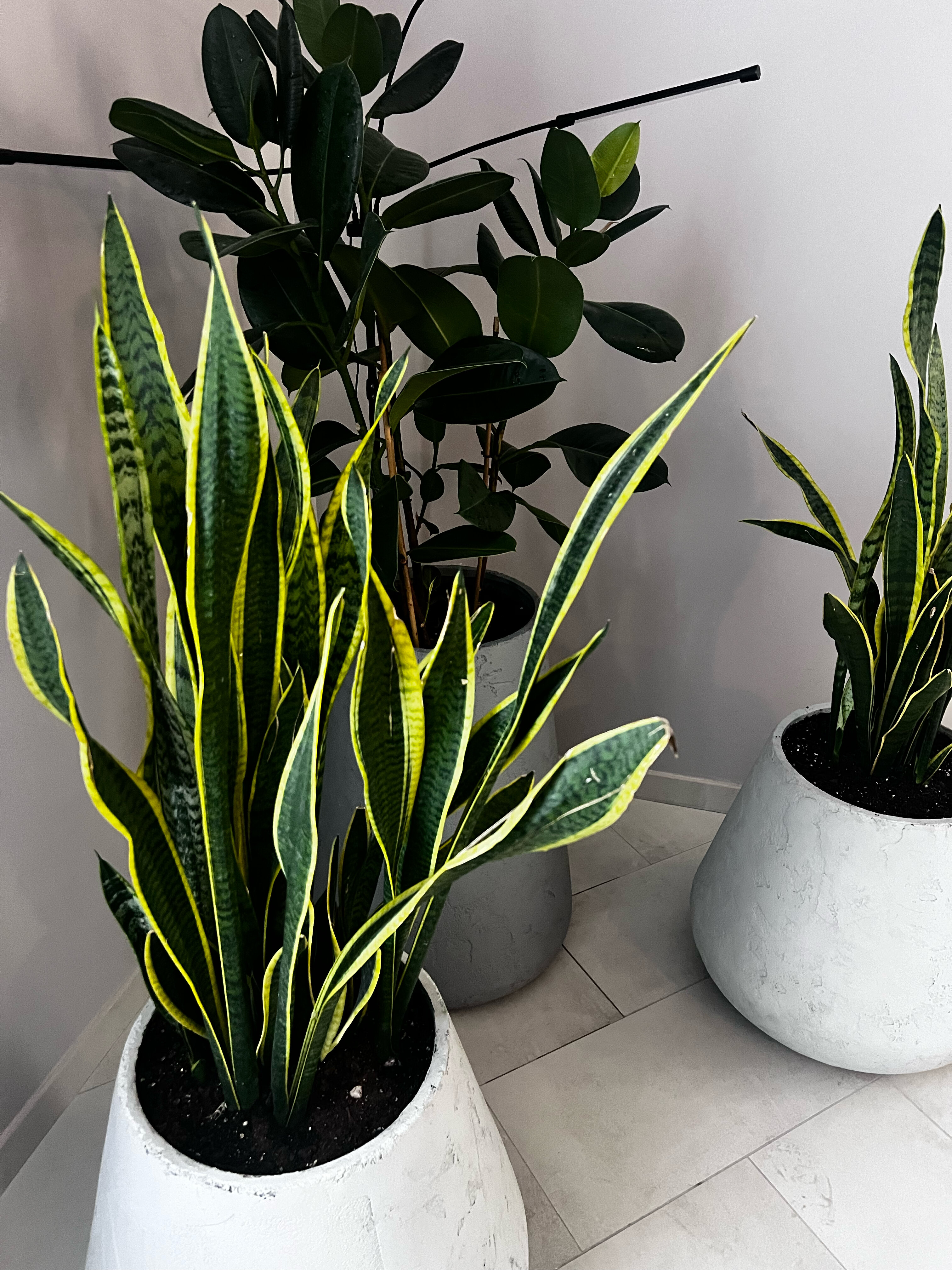 Фото Гостевой дом Ласточкин