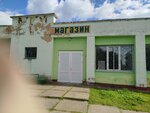 РАЙПО (Magiliowskaja voblasc, Bialynicki rajon, Vishowski sielsaviet, Navasiolki, Shkolnaya ulitsa), grocery