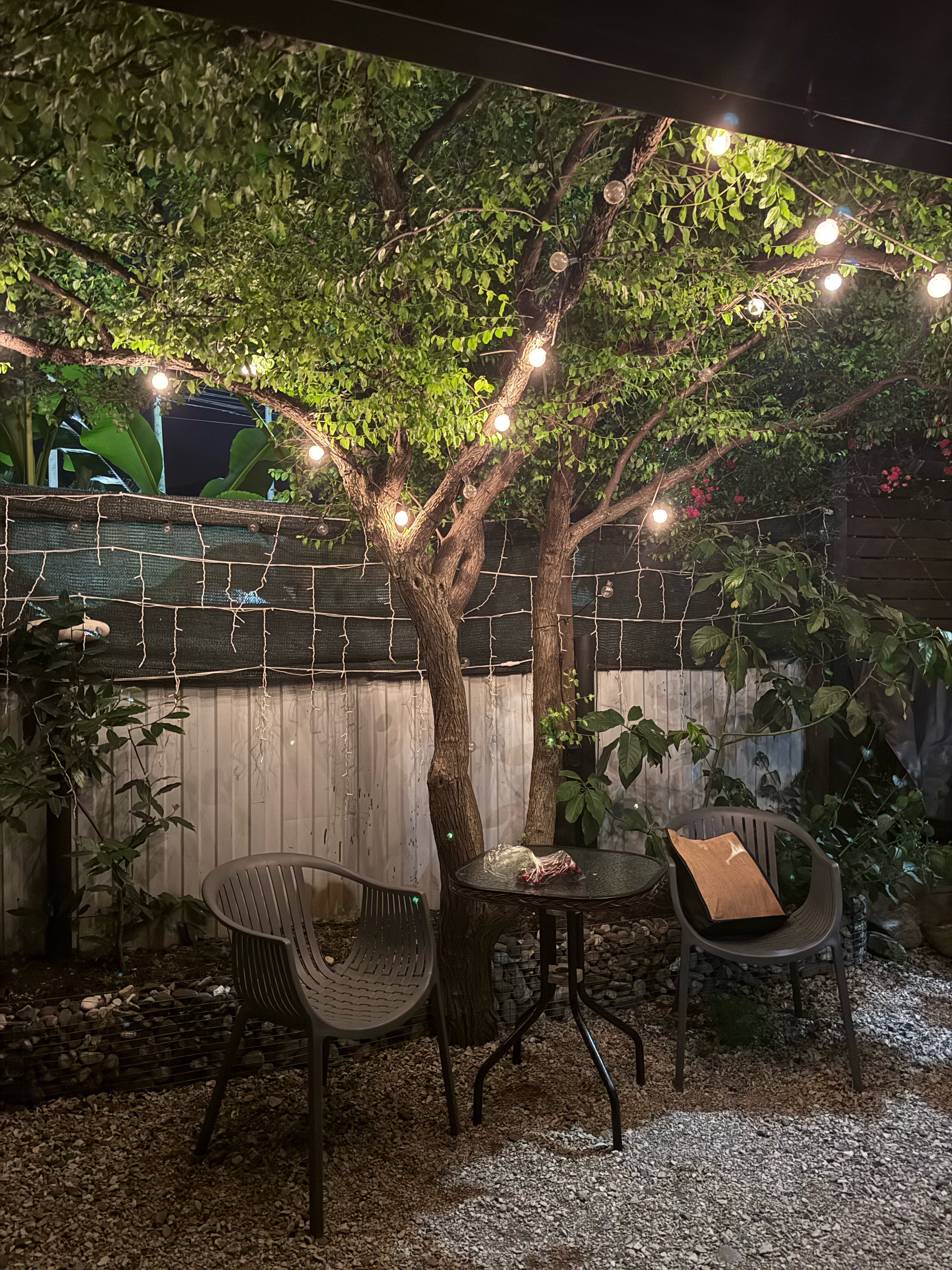 Фото Апартаменты в Адлере