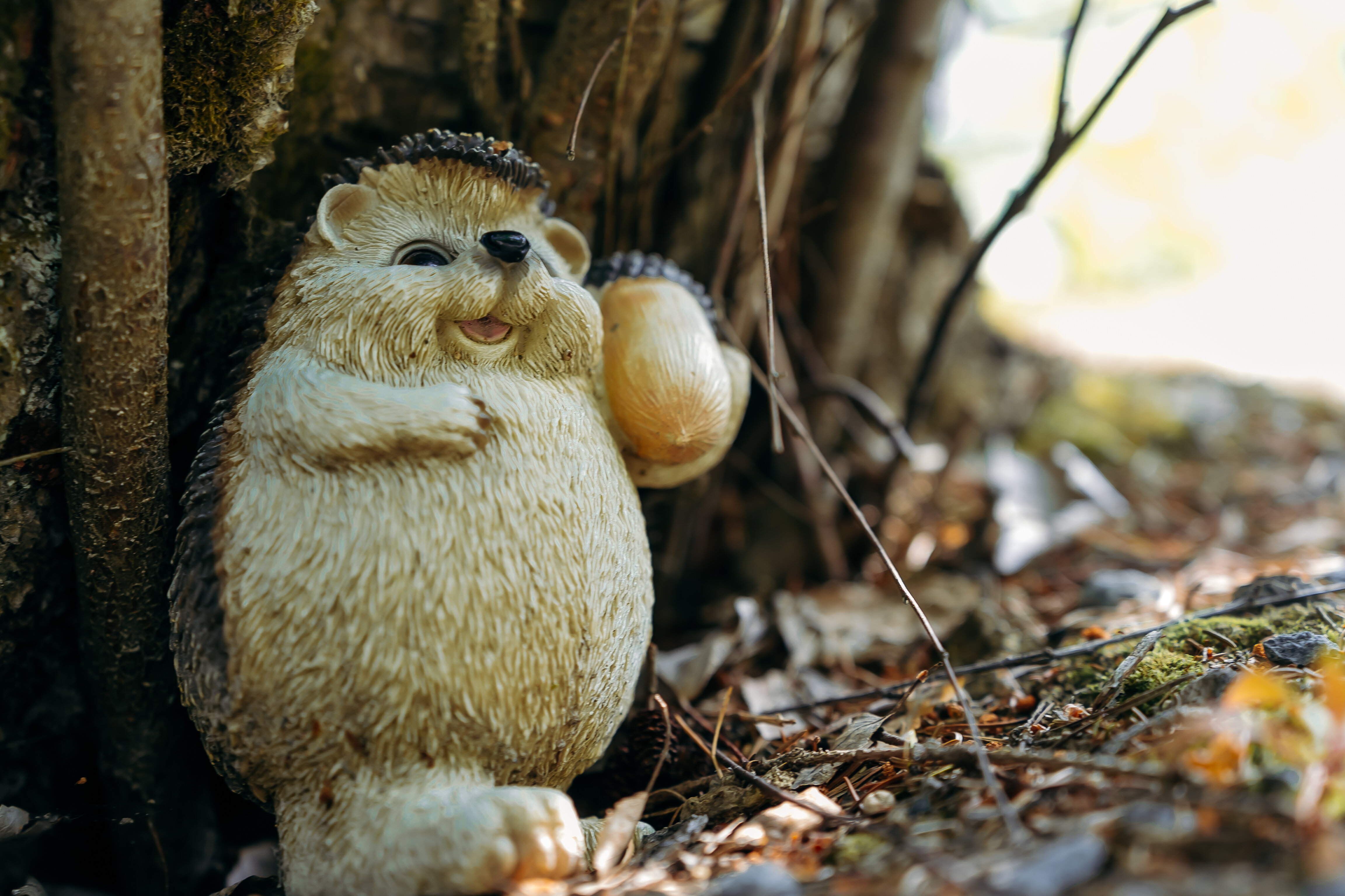 Фото Карельская сказка