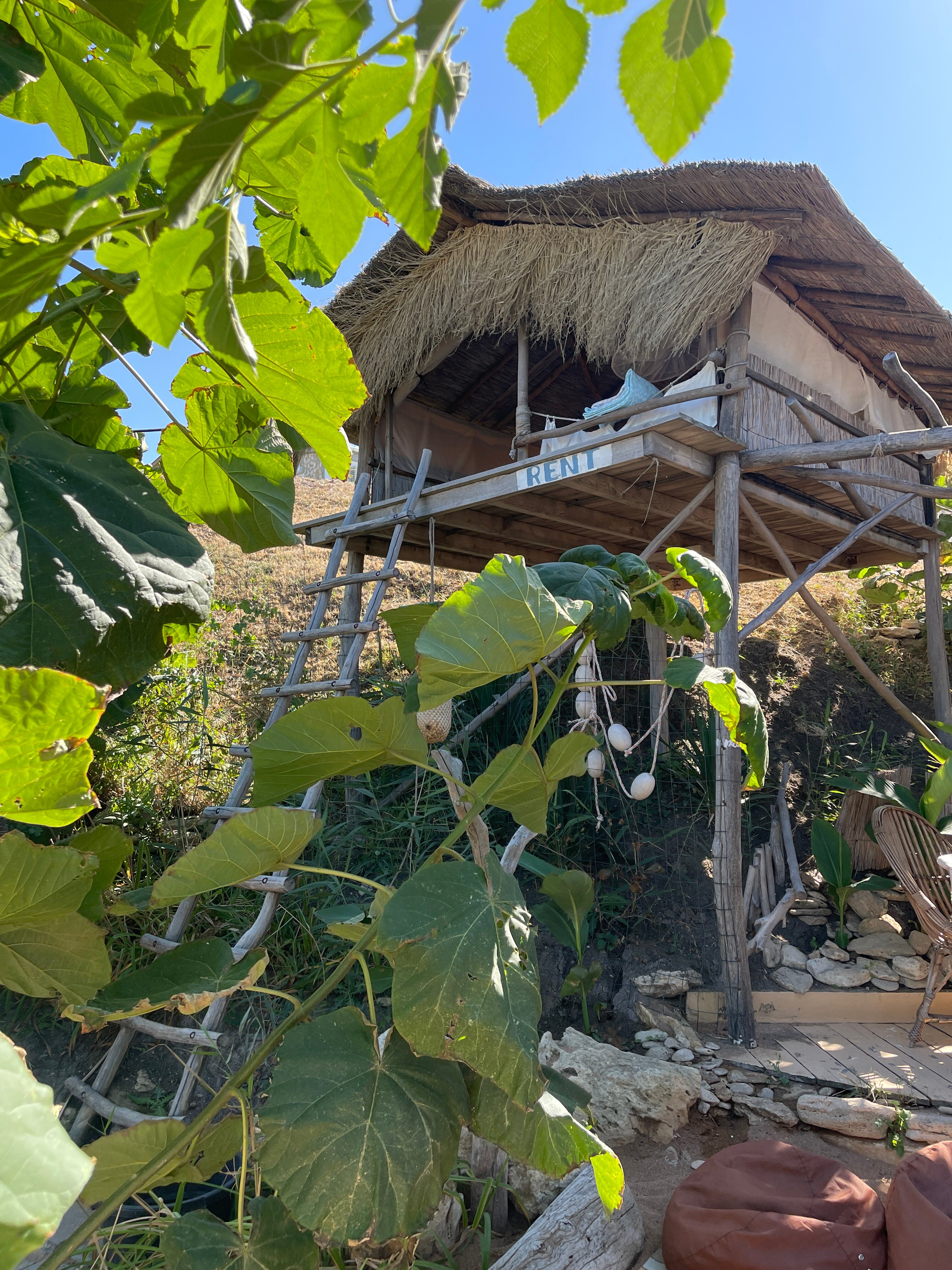 Фото Moreya eco bungalow