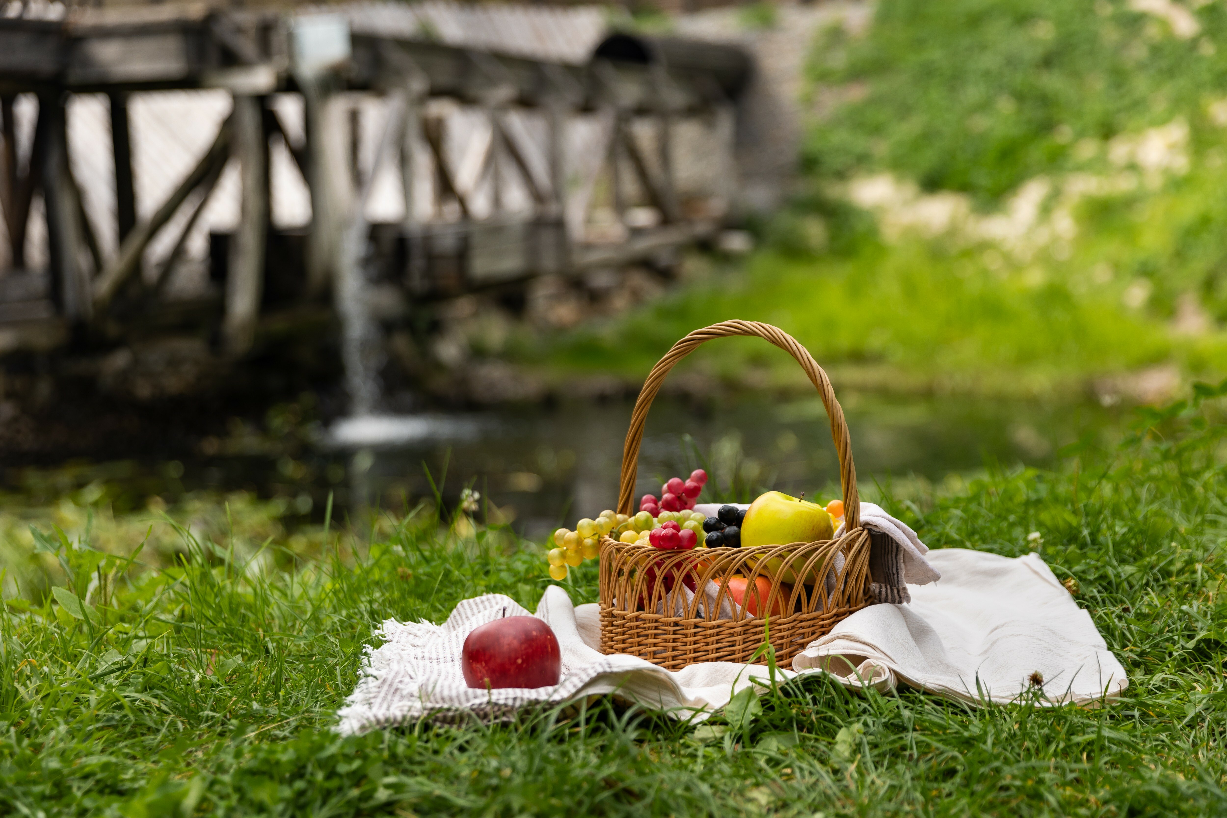 Фото Яхонты Красниково