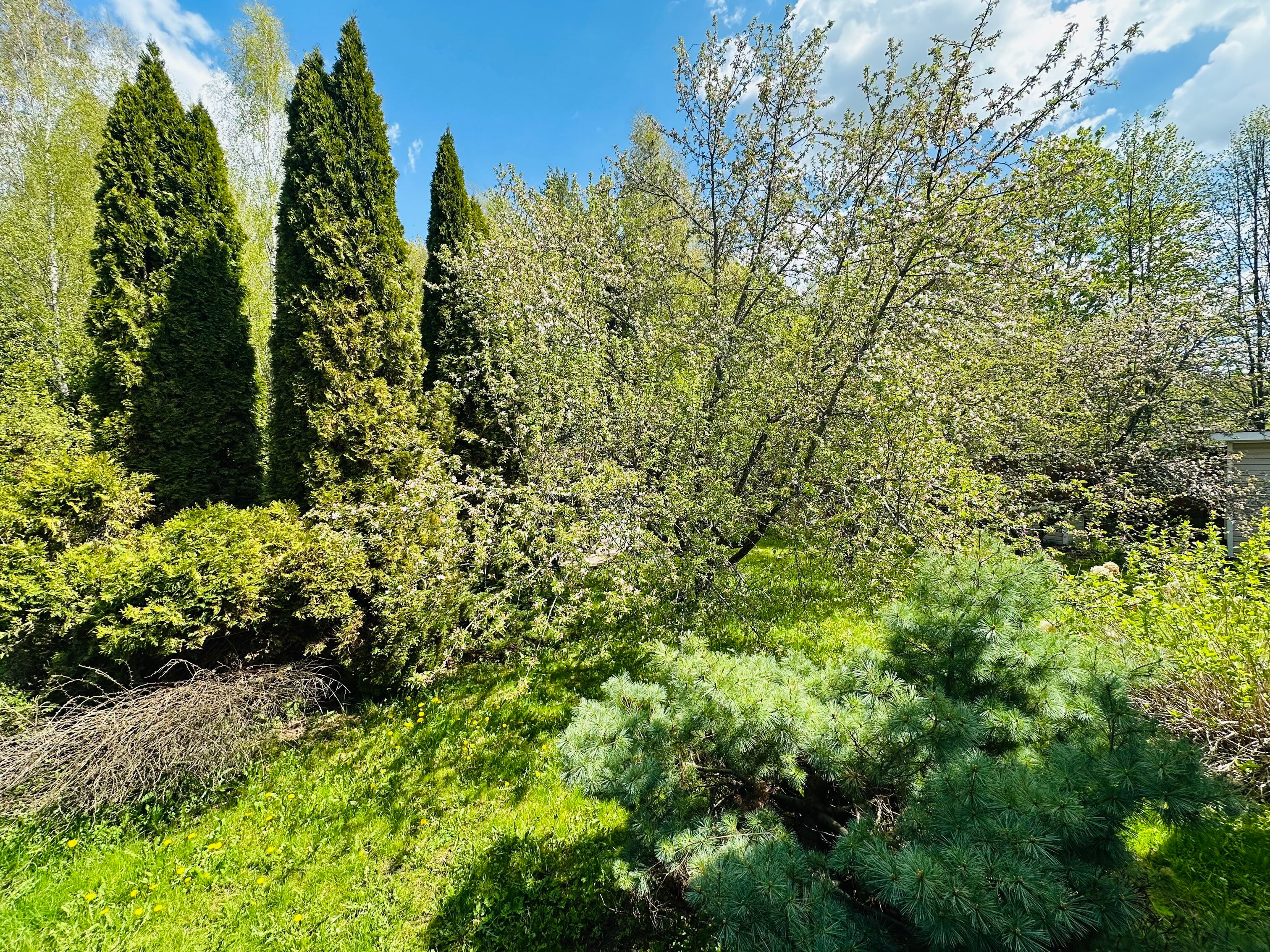 Фото Загородный дом с бассейном