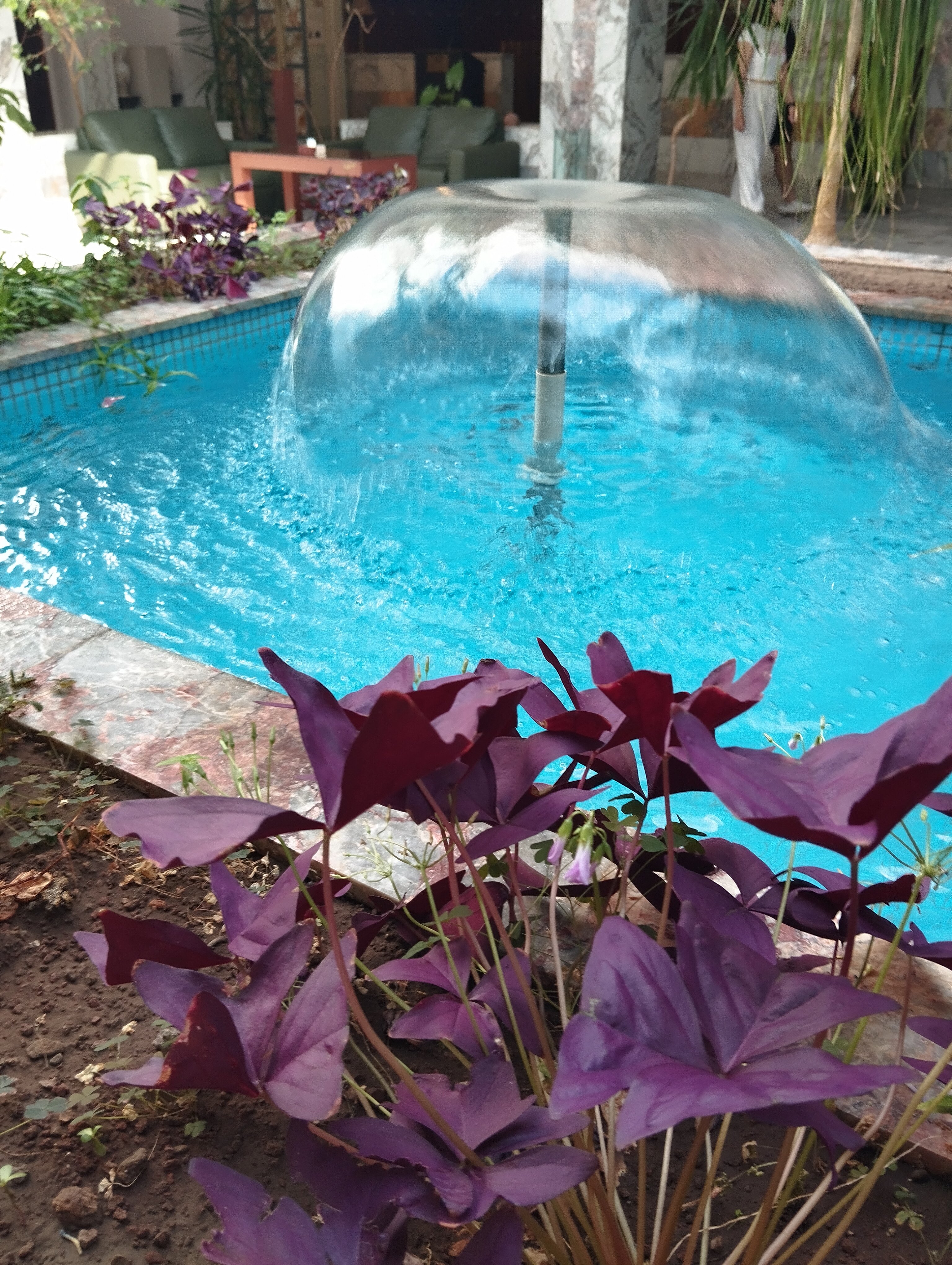 Фото Regineh Hotel