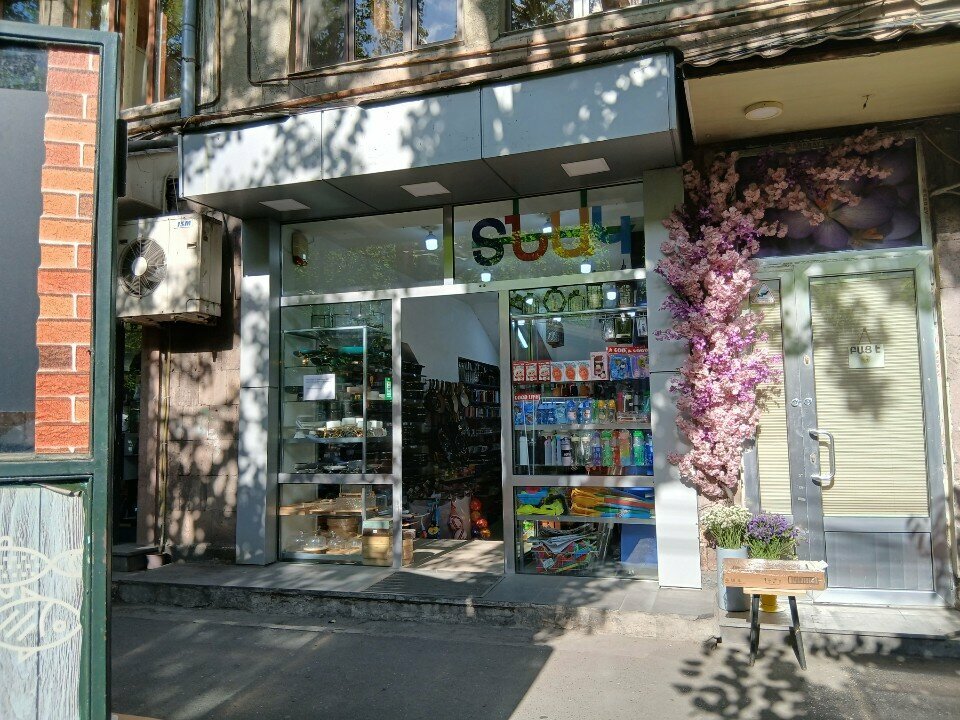 Household goods and chemicals shop Tnak, Yerevan, photo