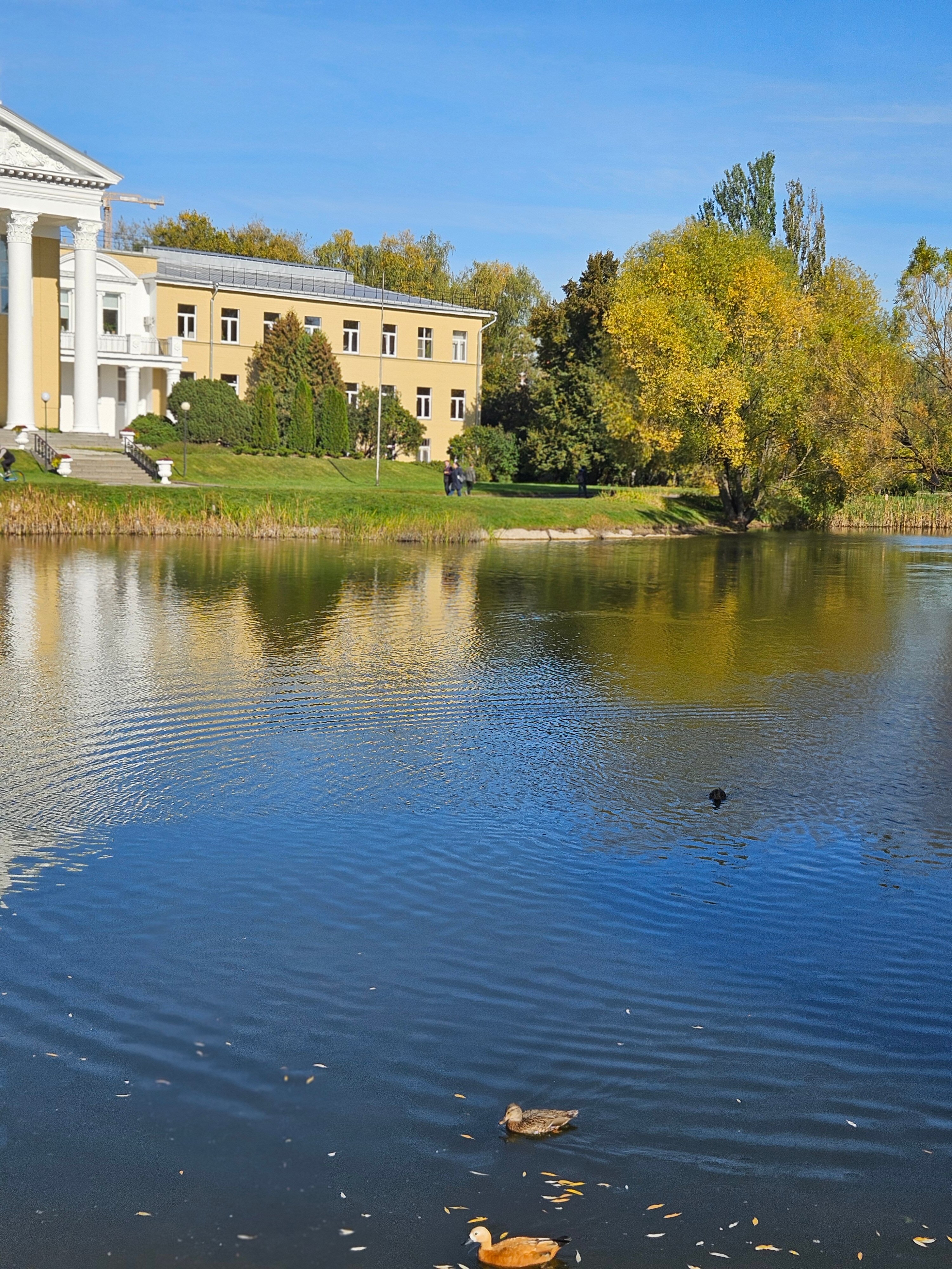 Фото Максима Ирбис