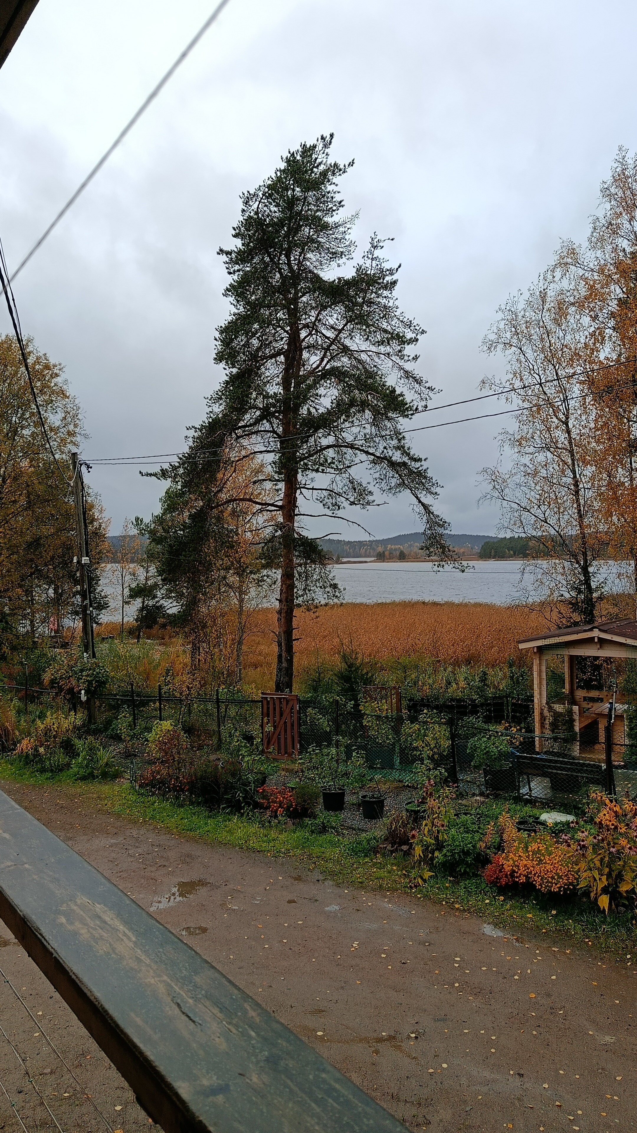 Фото Коттедж Берег у леса