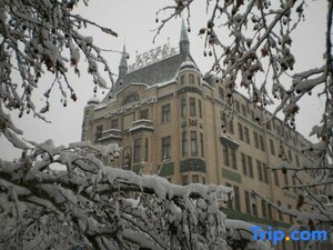 Гостиница Отель Москва