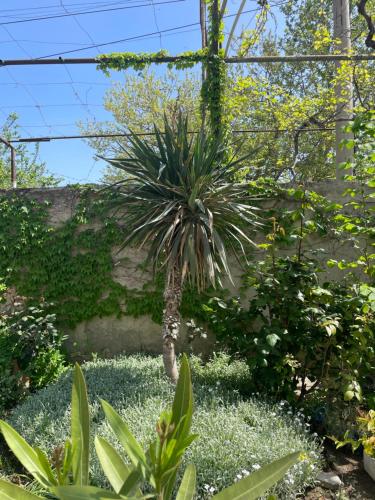 Фото Vazi Guest House