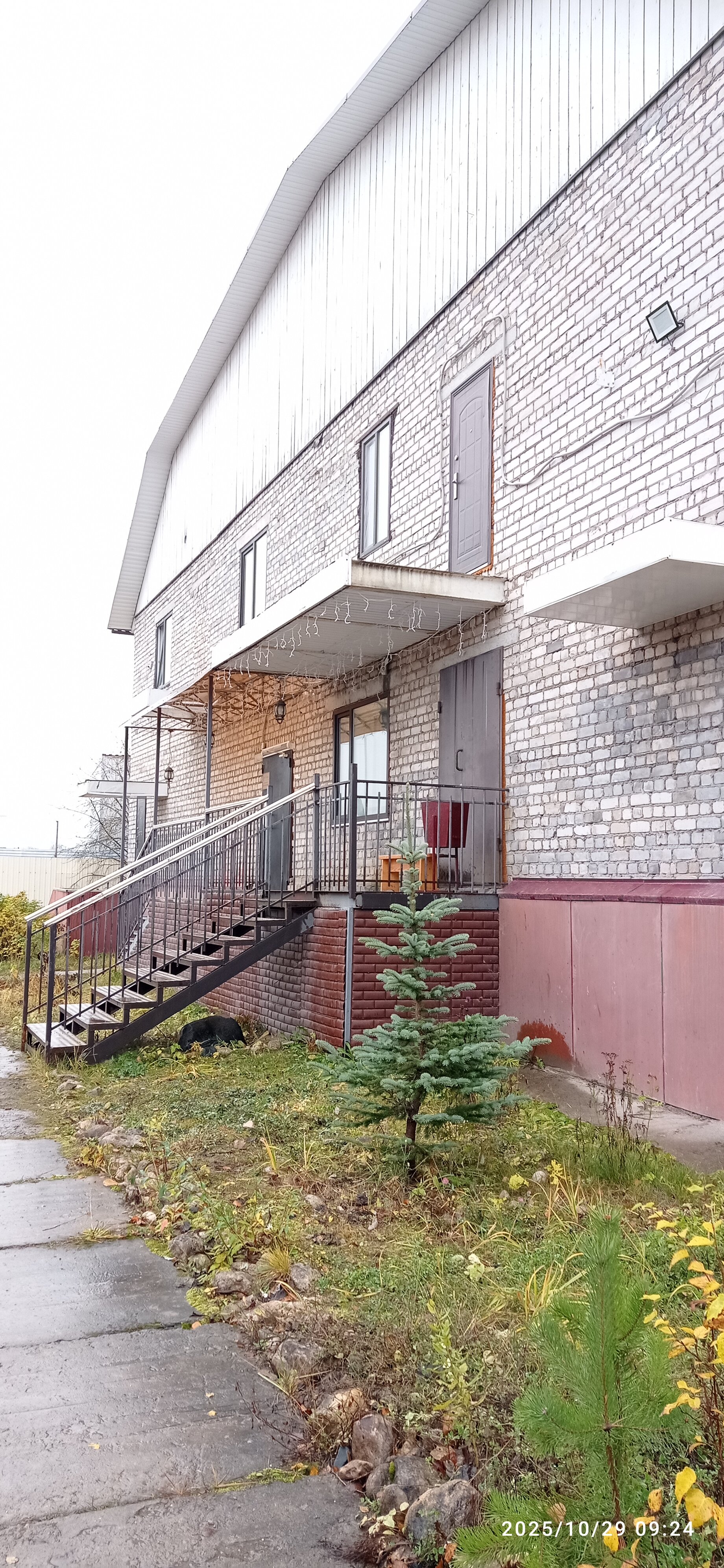 Фото Путник