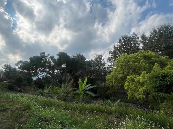 Фото Pai Hillside Resort