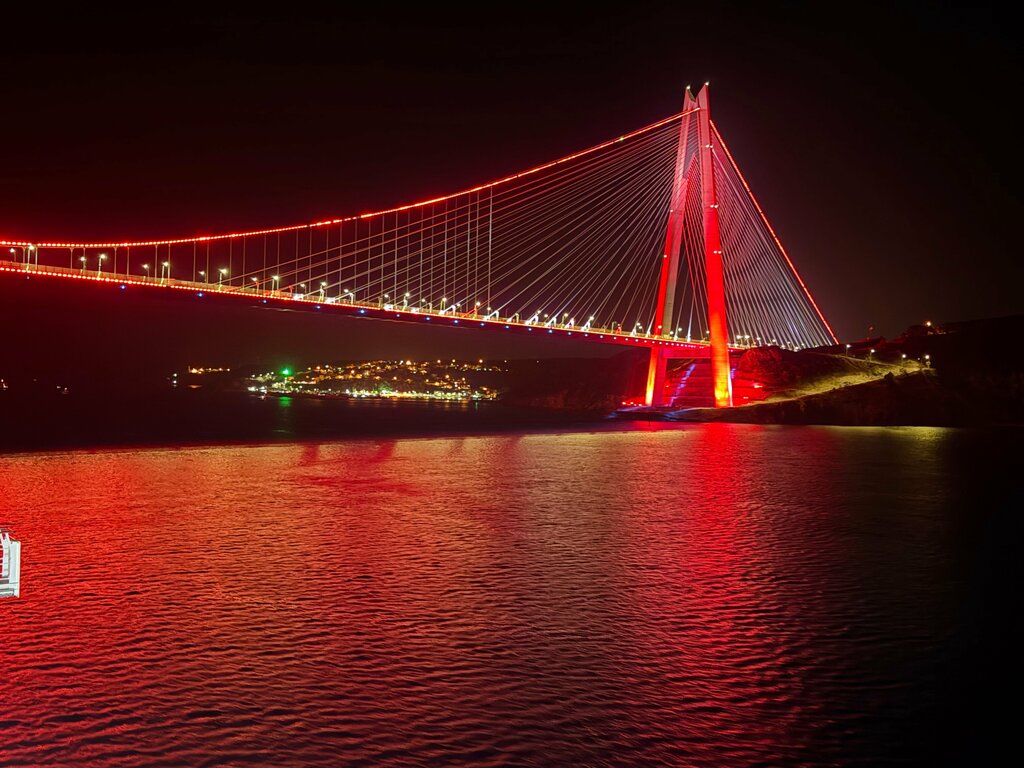 Landmark, attraction Weeping Tree, Amasra, photo