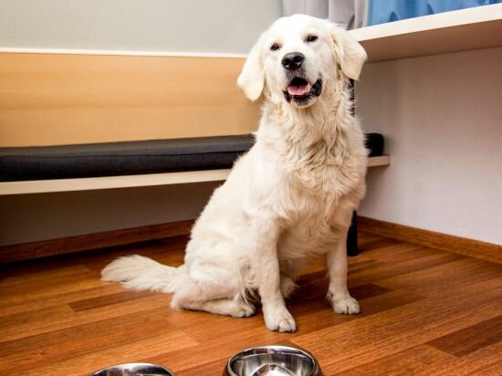 Фото Fora Hotel Hannover by Mercure