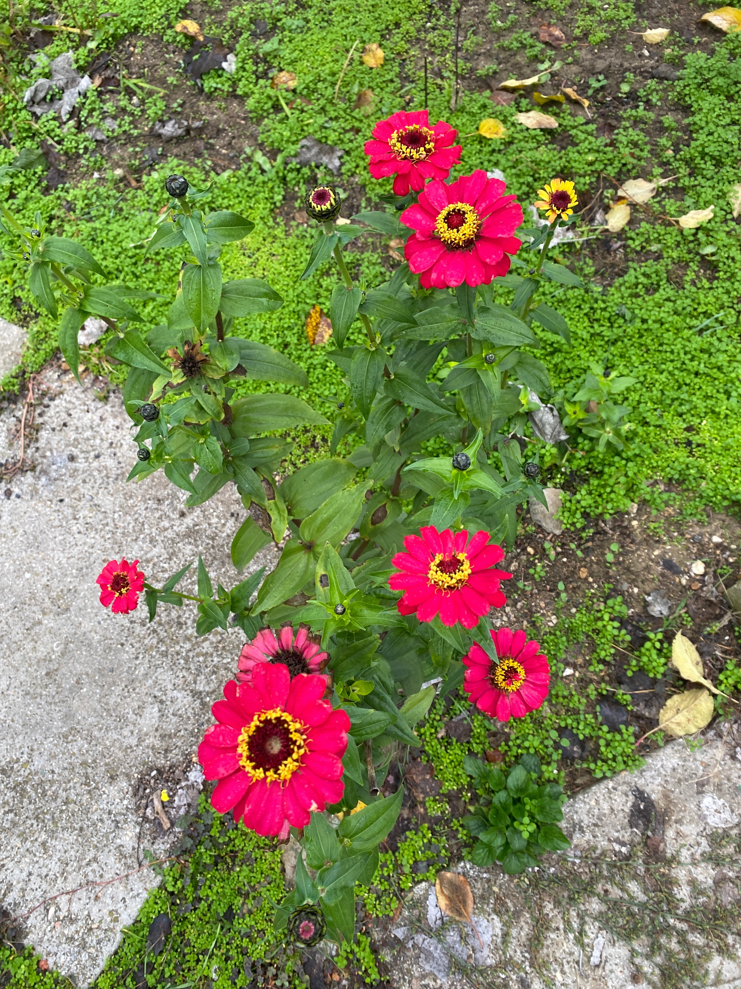 Фото Два моря