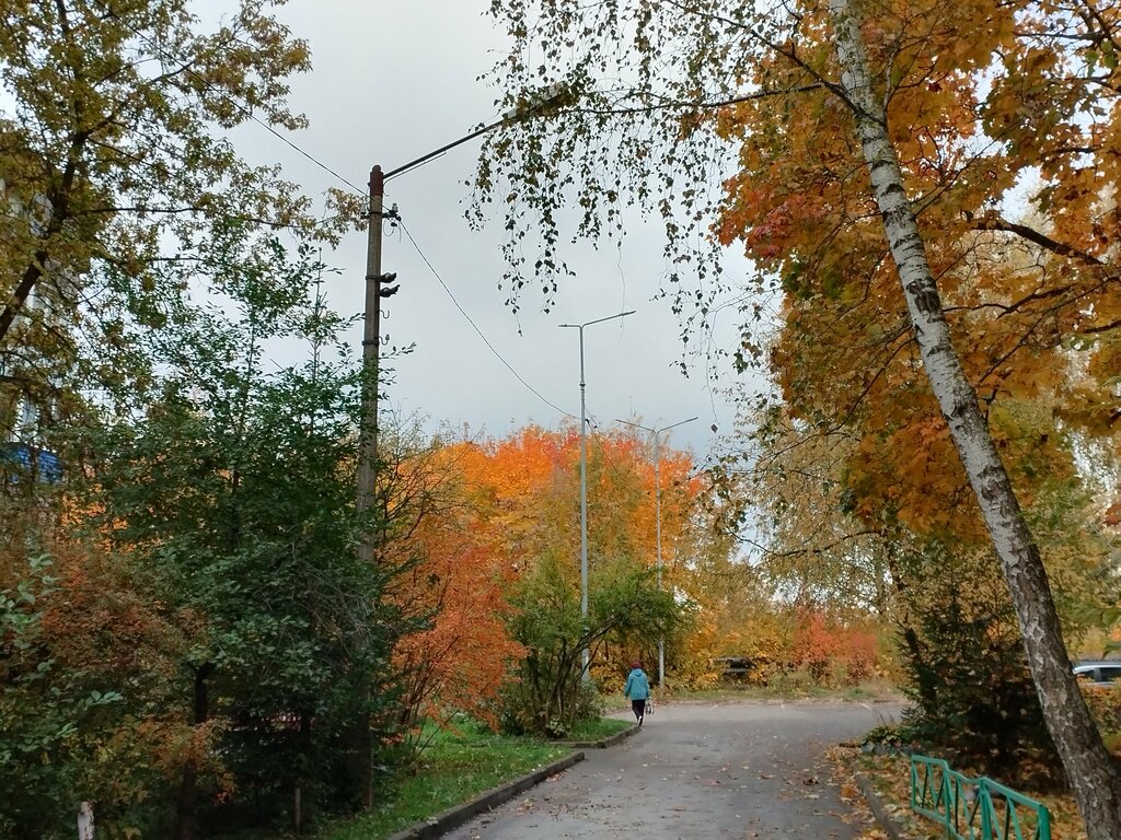 Shopping mall Maxima XX, Alytus, photo