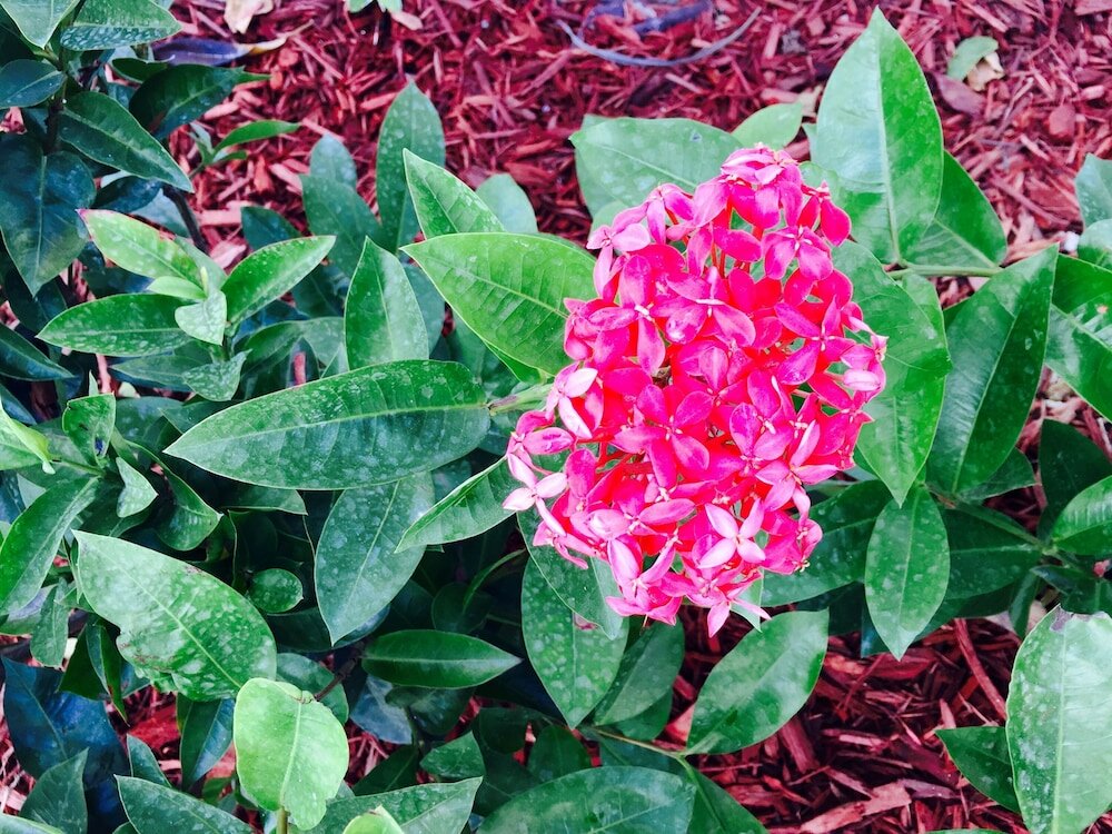 Фото Oasis Hotel