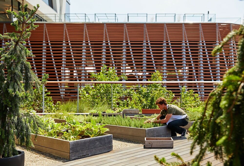 Фото The William Vale