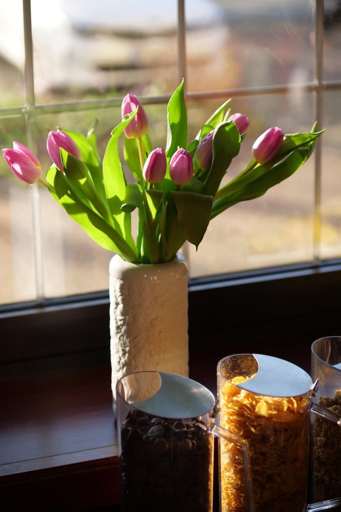 Фото Parkhotel Bergheim