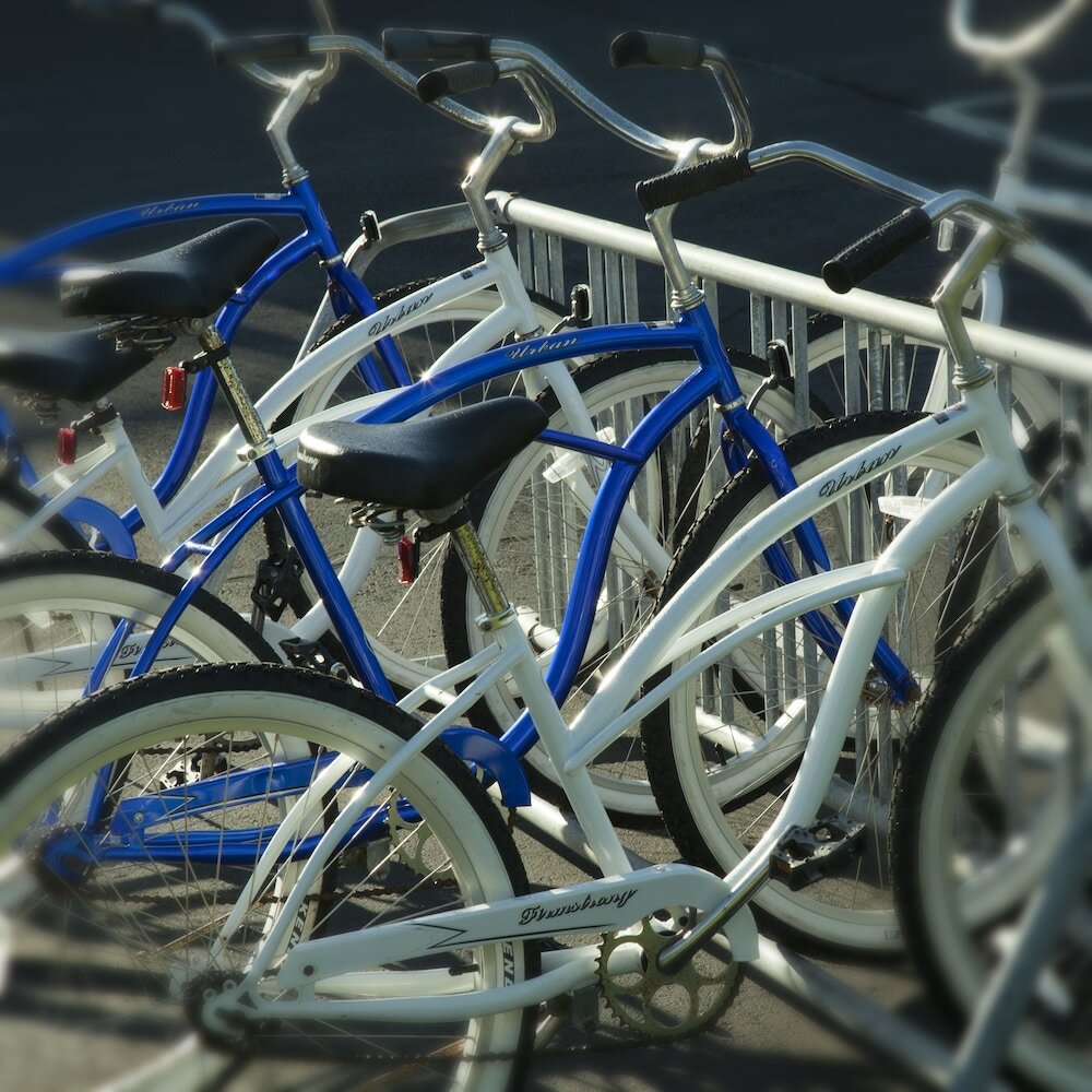 Фото Ocean House Hotel at Bass Rocks