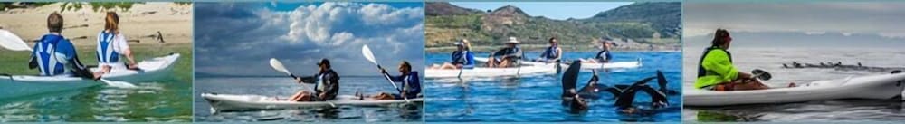 Фото The Grosvenor Guest House