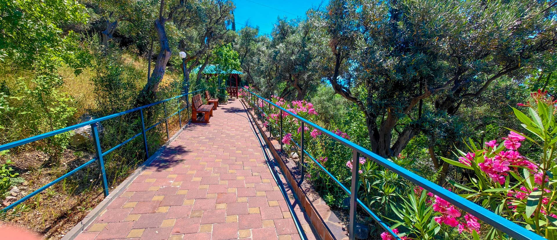 Фото Жуковка