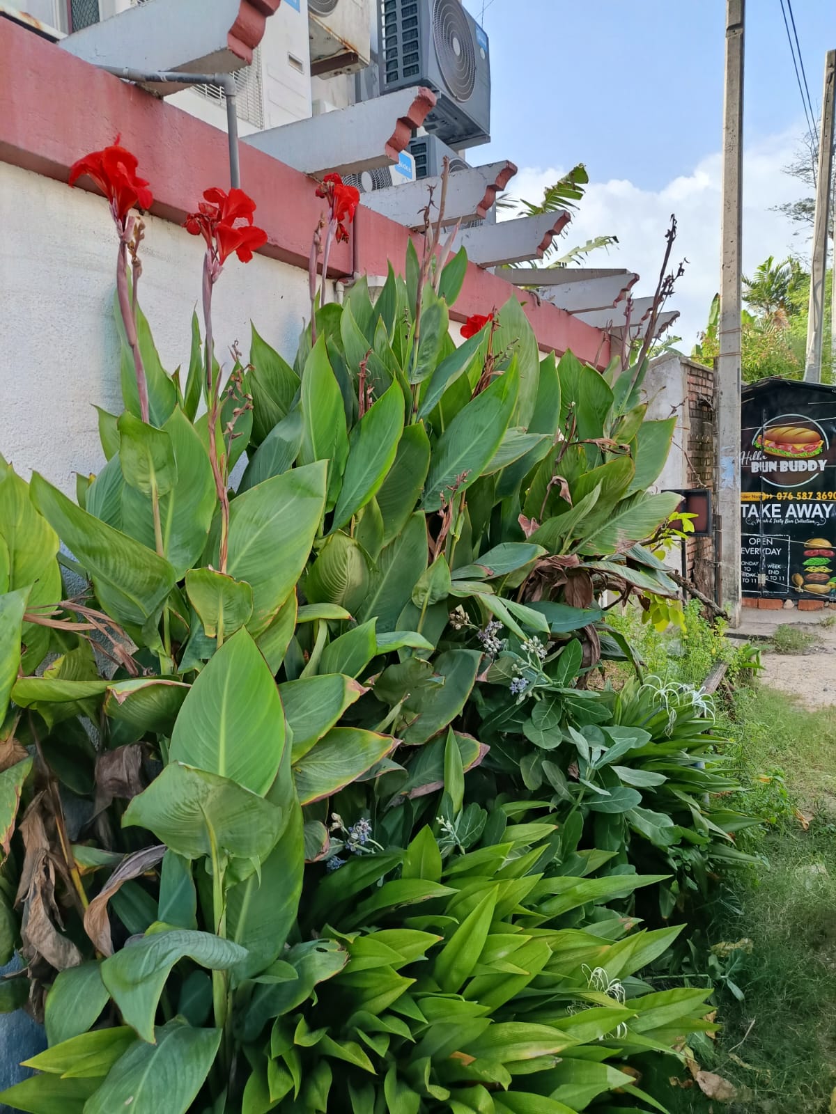 Фото Kai Hikkaduwa