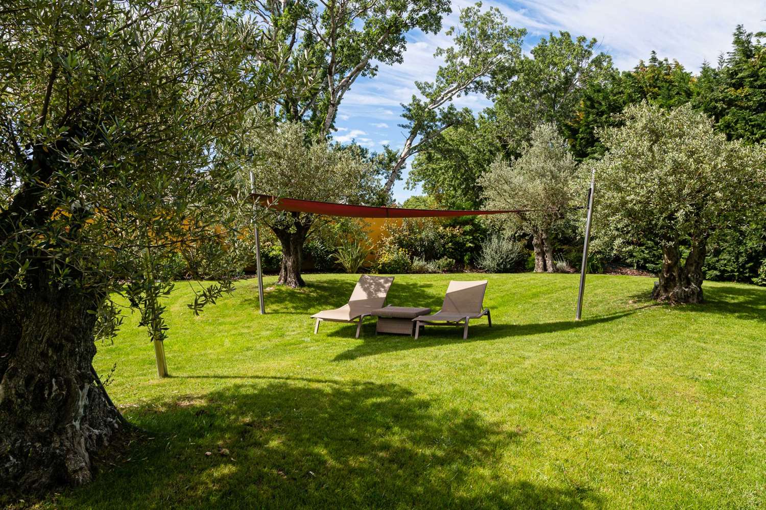 Фото 209358657567