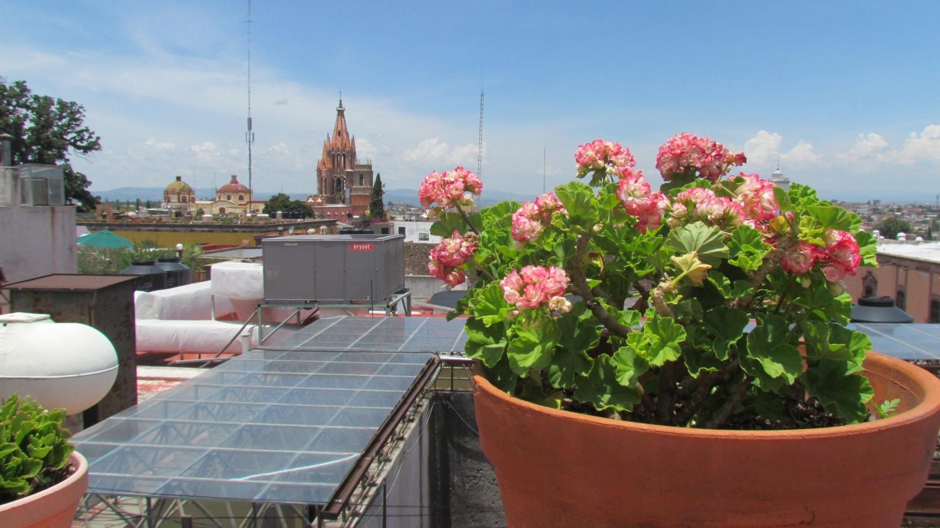 Фото Hotel Casa Morena