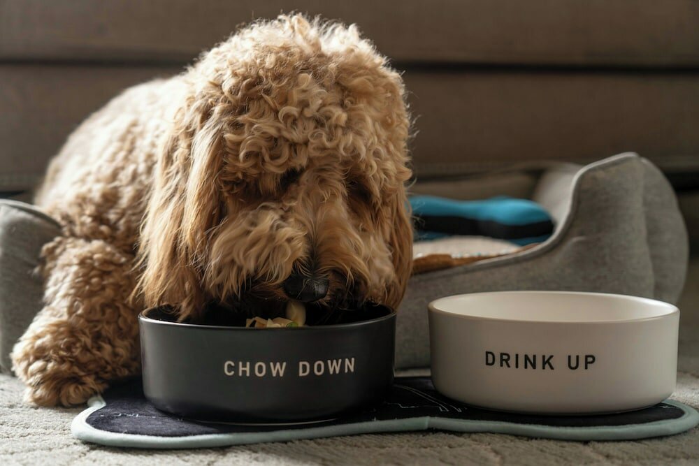 Фото The Ritz-Carlton, St. Louis