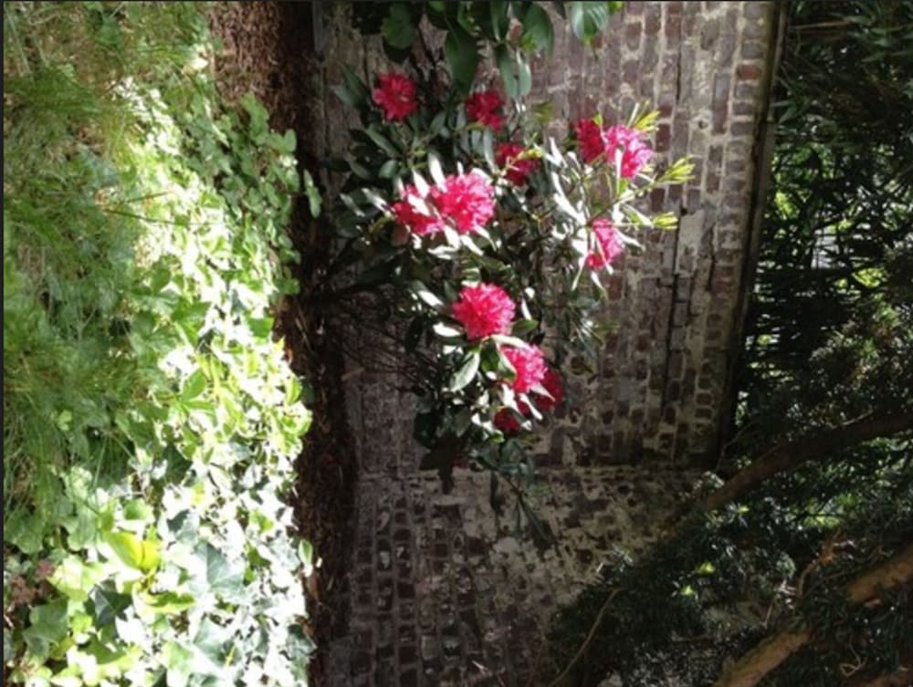 Фото Hotel Am Hofgarten